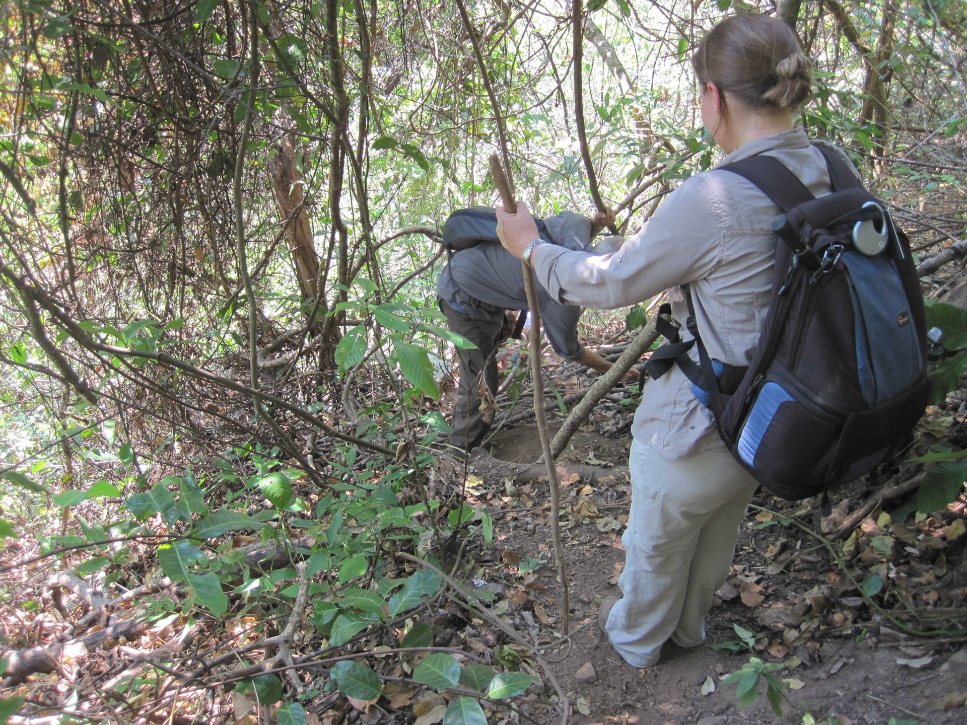 Scrambling down a steep slope, hanging on to vines and roots!