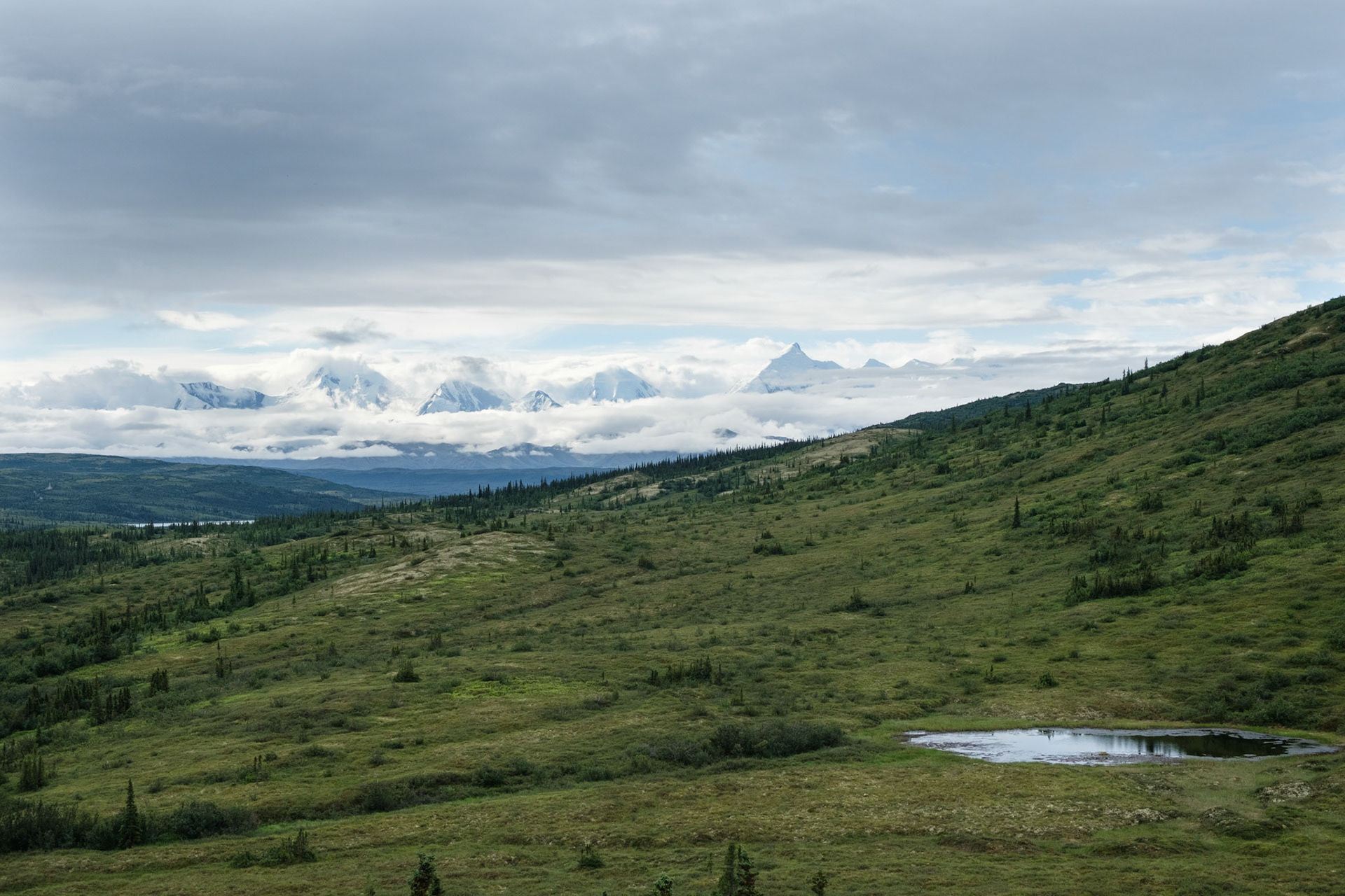 View of Mt Brooks from Willow Ridge hike