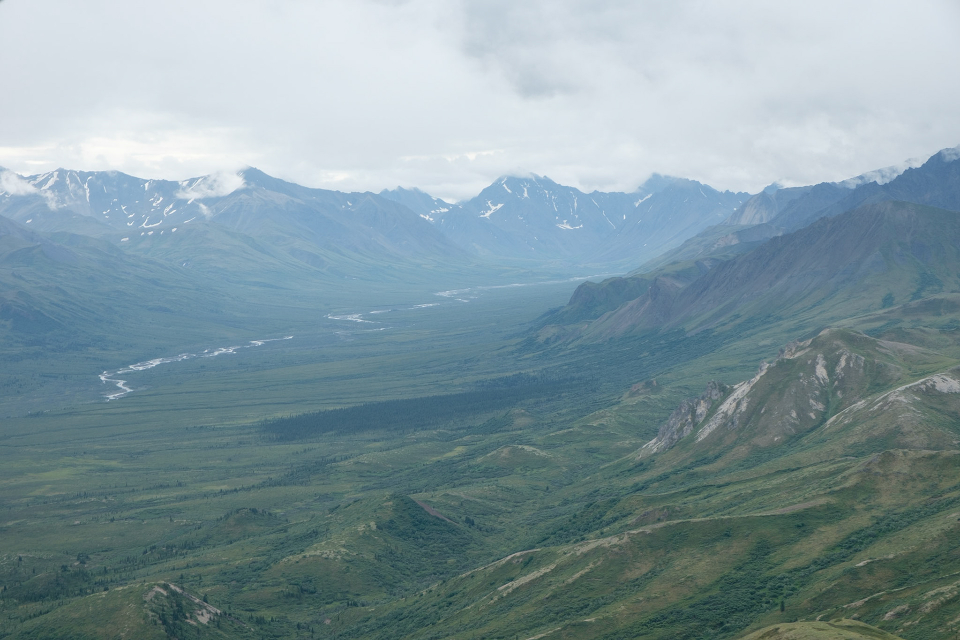 Flying from Kantishna to Denali train depot