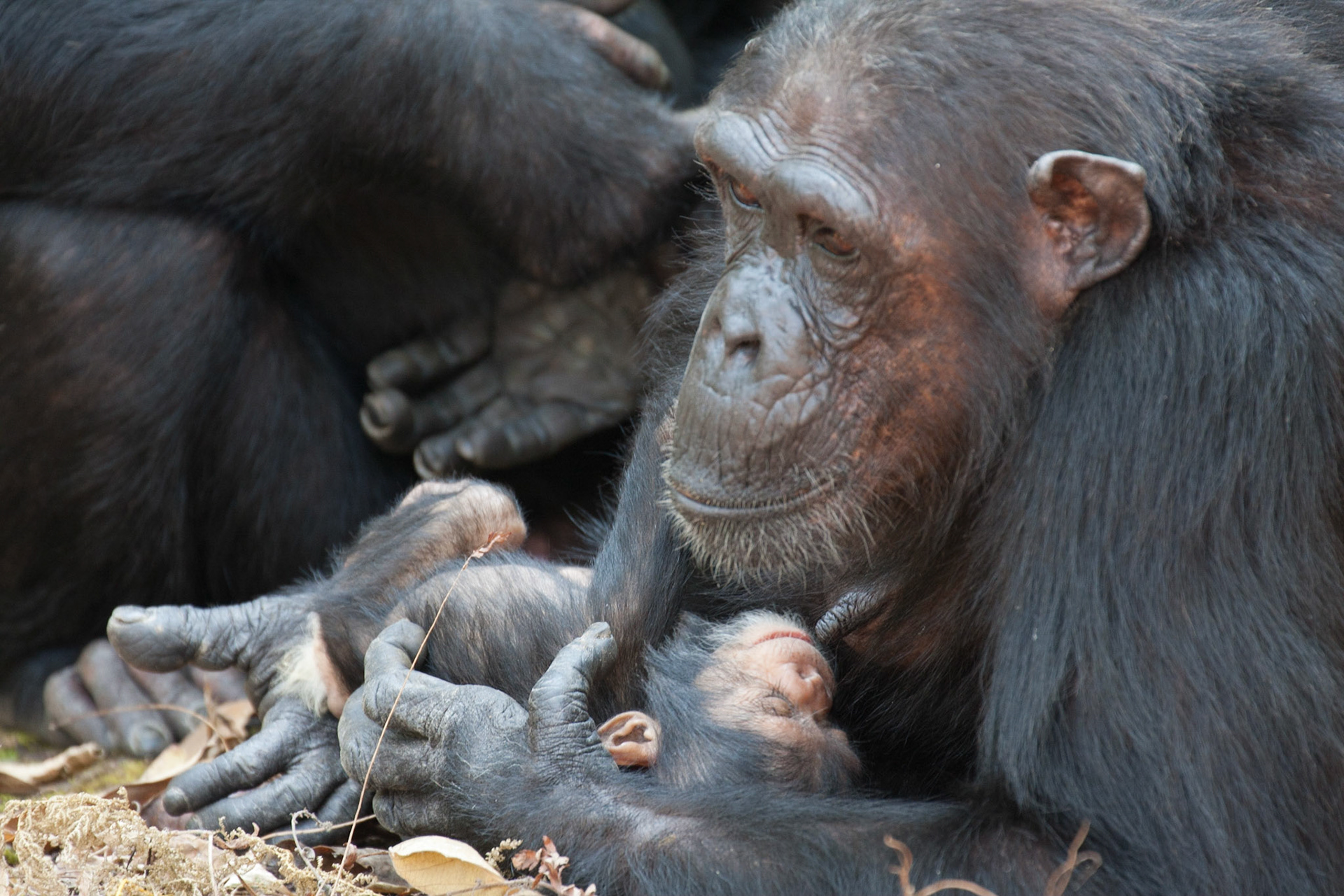 Cristina with her baby