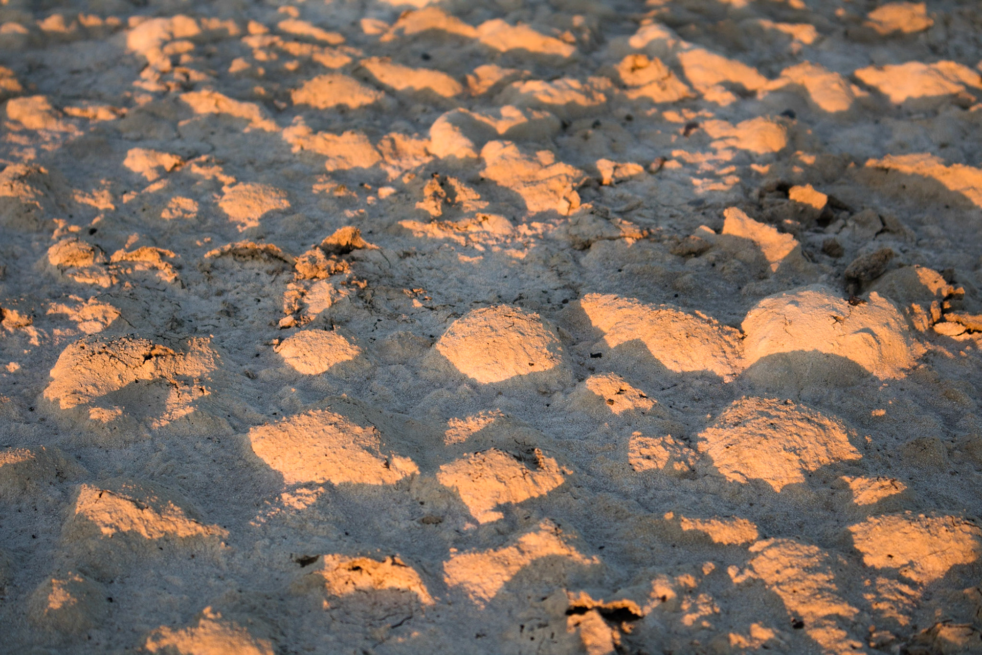 Salt pan ("the giant poppadom")
