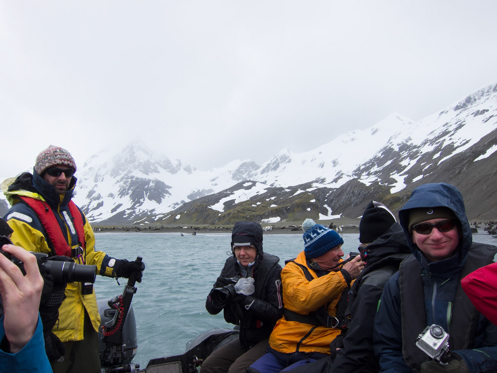 Zodiac cruise, Right Whale Bay