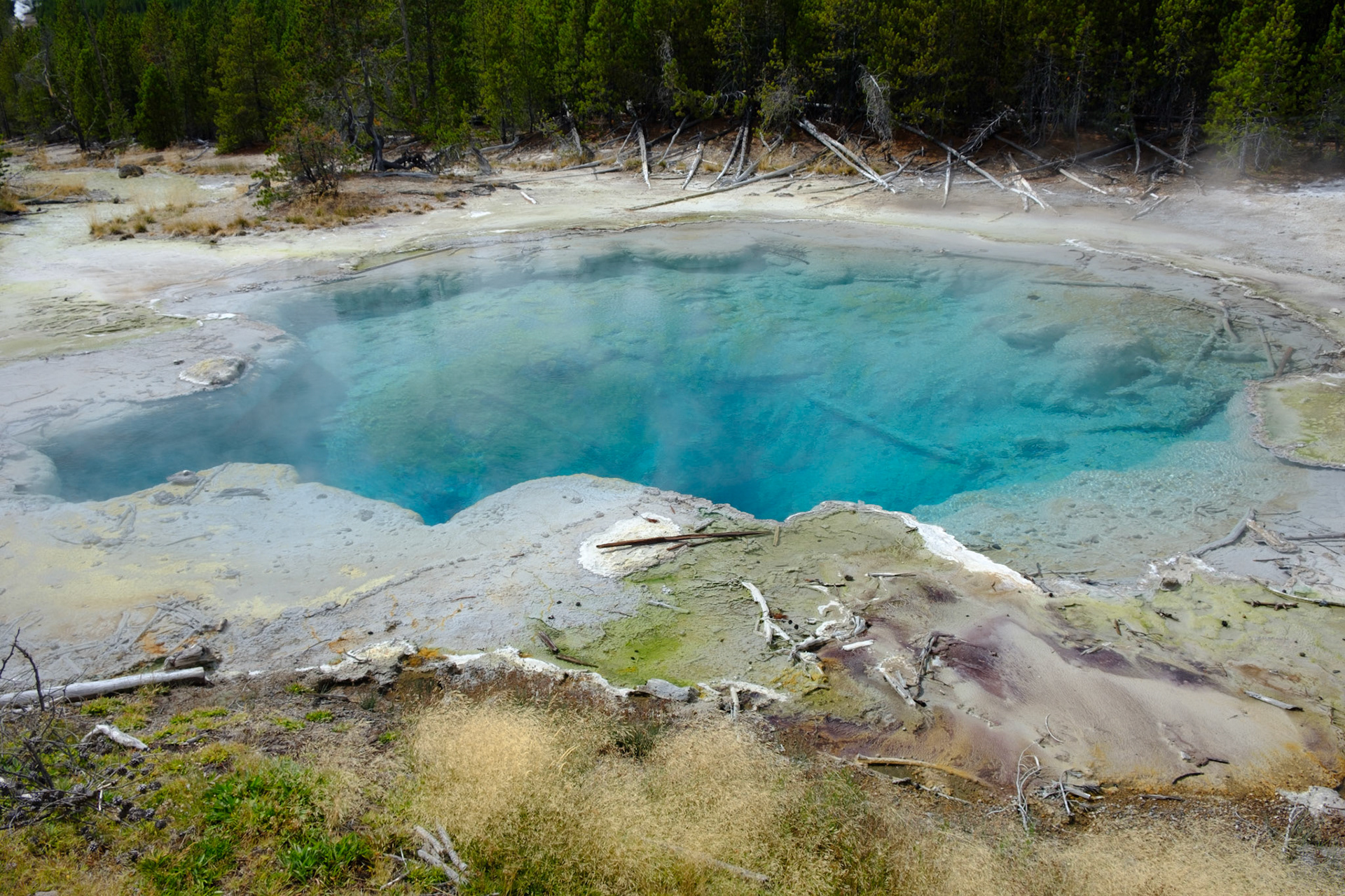 Emerald Spring (Norris Geyser Basin), Yellowstone
