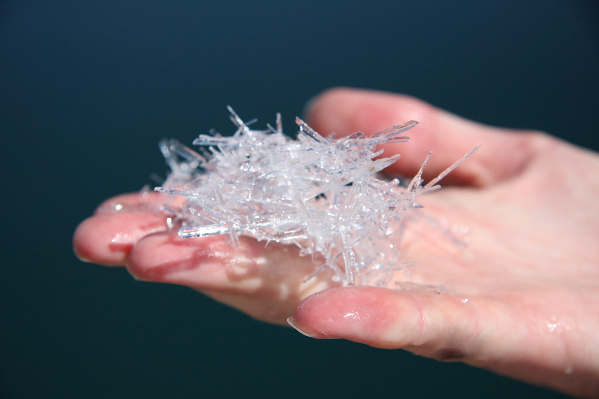 Ice crystals from the pond!