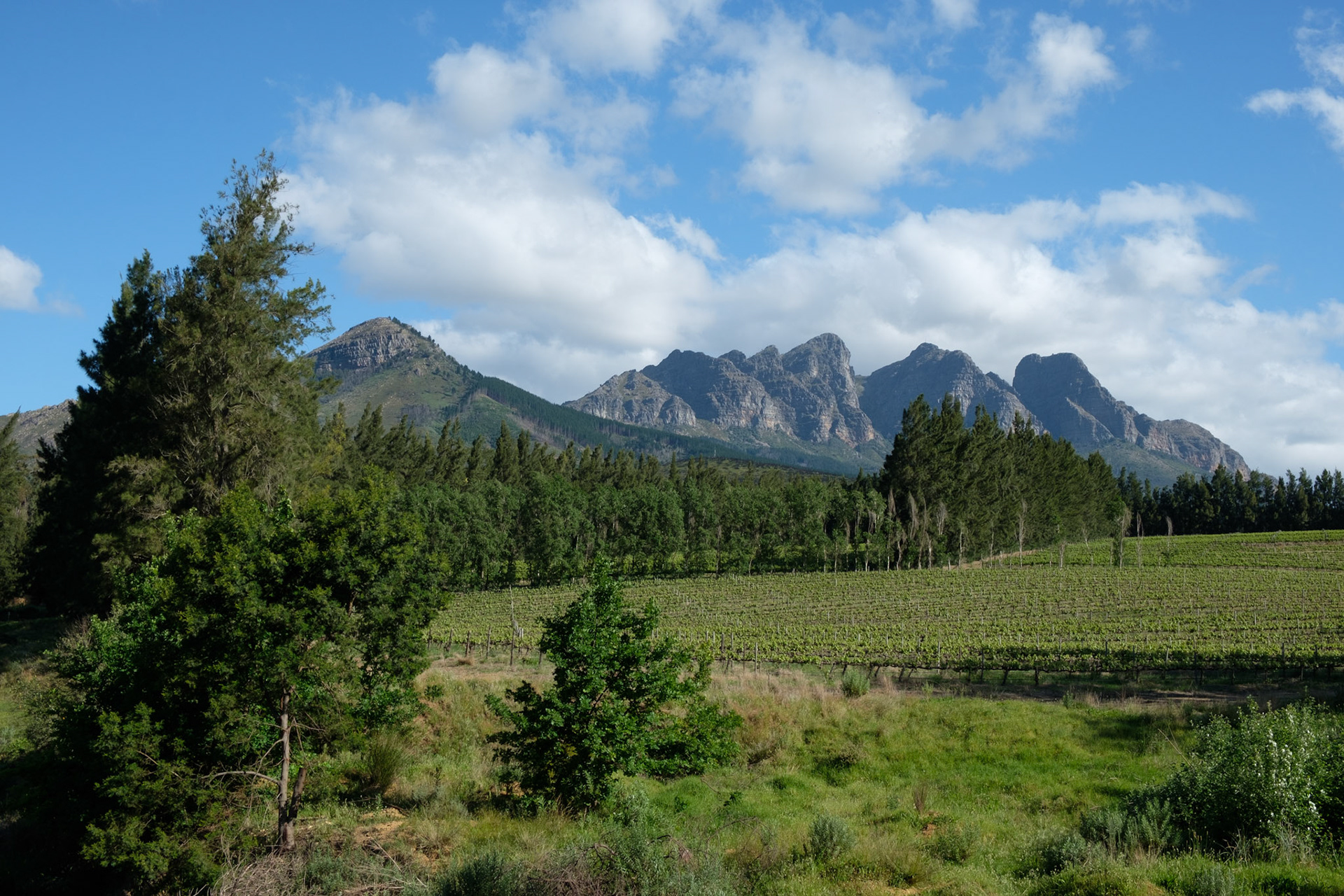 View from the River walk, Doolhof Wine Estate