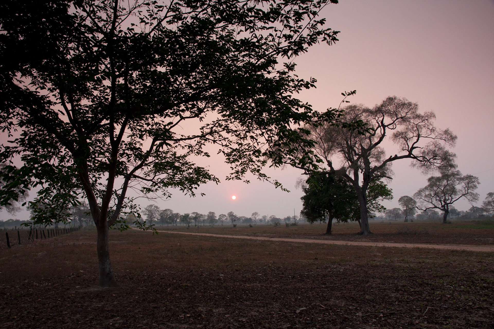 Sunrise from Pantanal Wildlife Centre