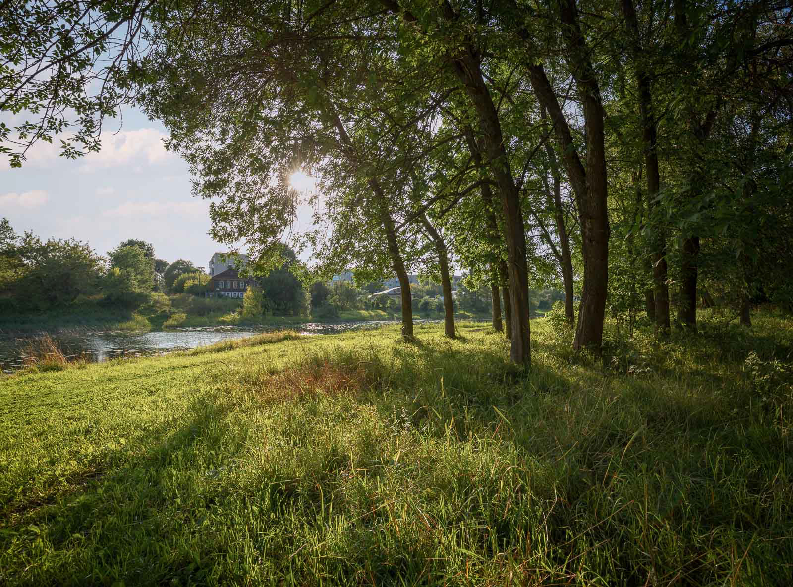 Summer day