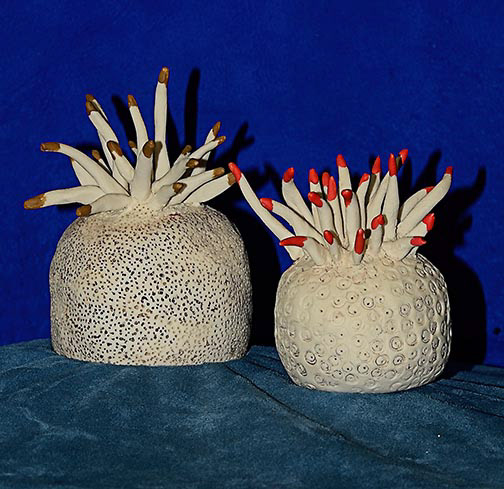 Another World- Ceramic Urchins