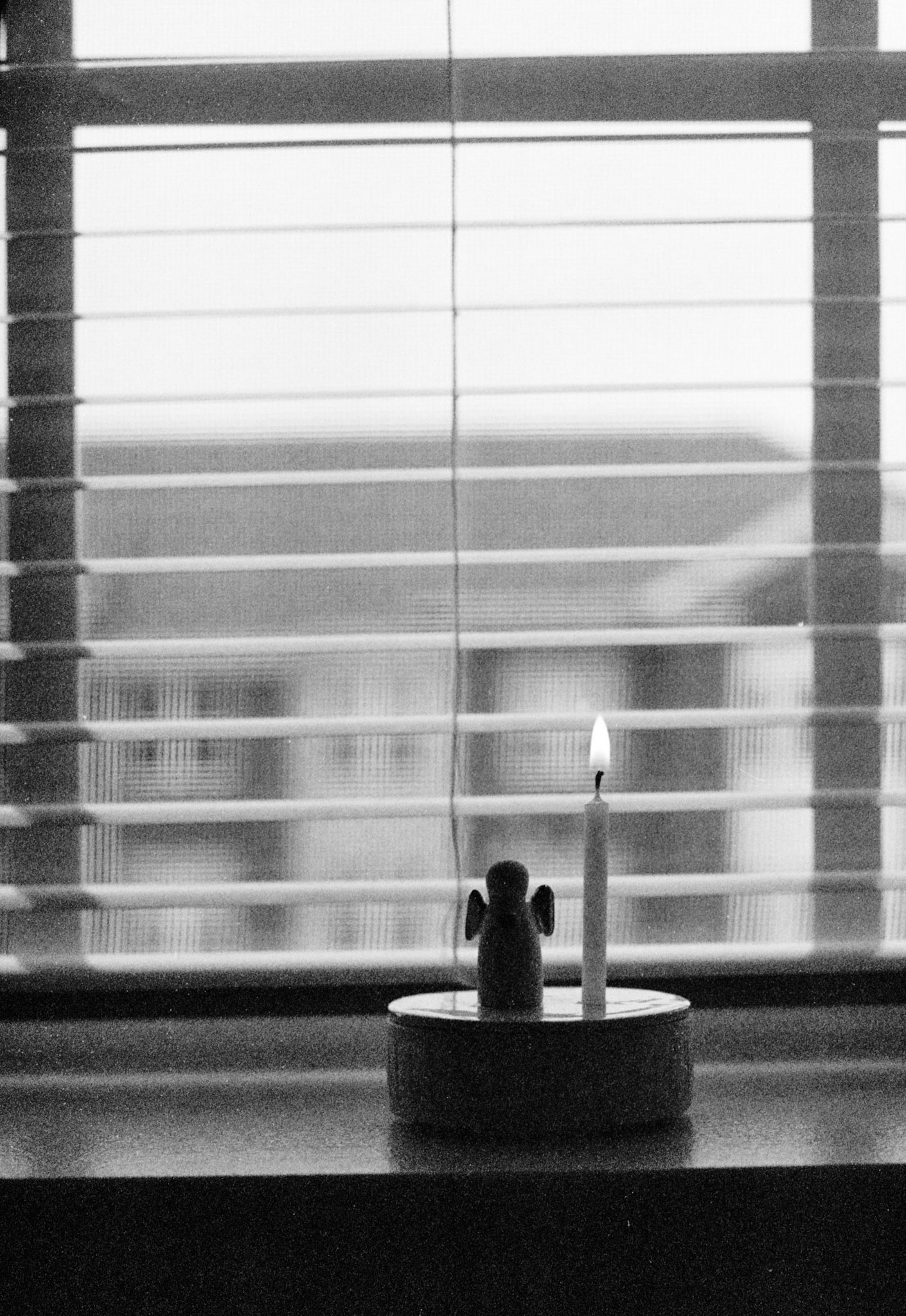 Fenster