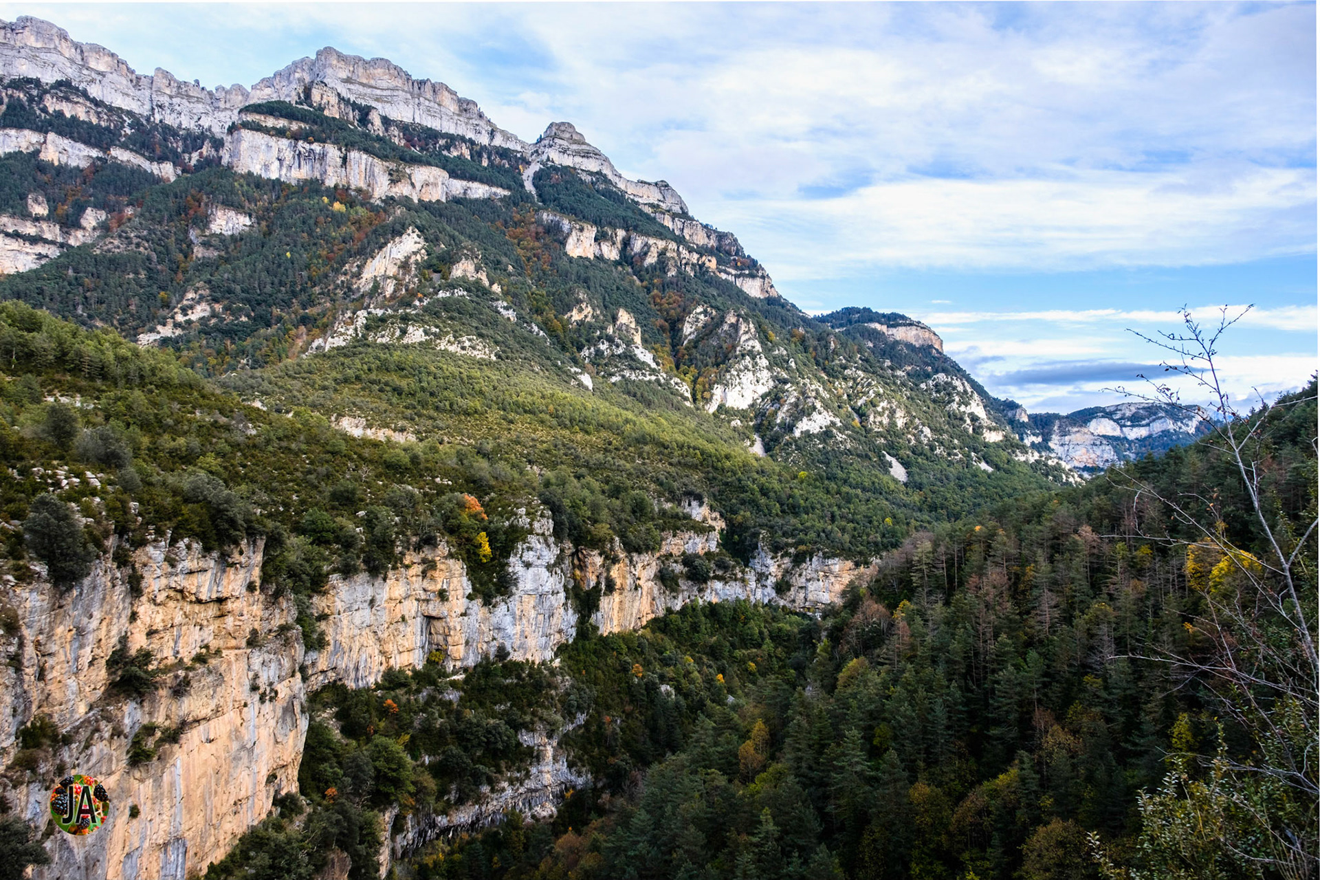 Cañon de Añisclo