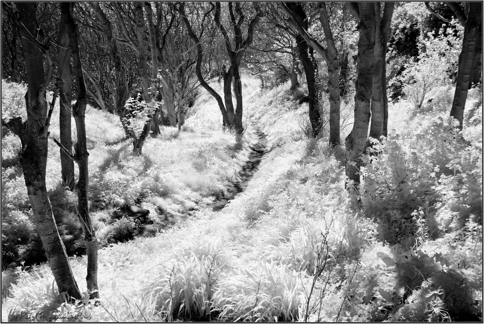 Bradda Glen (infra-red)