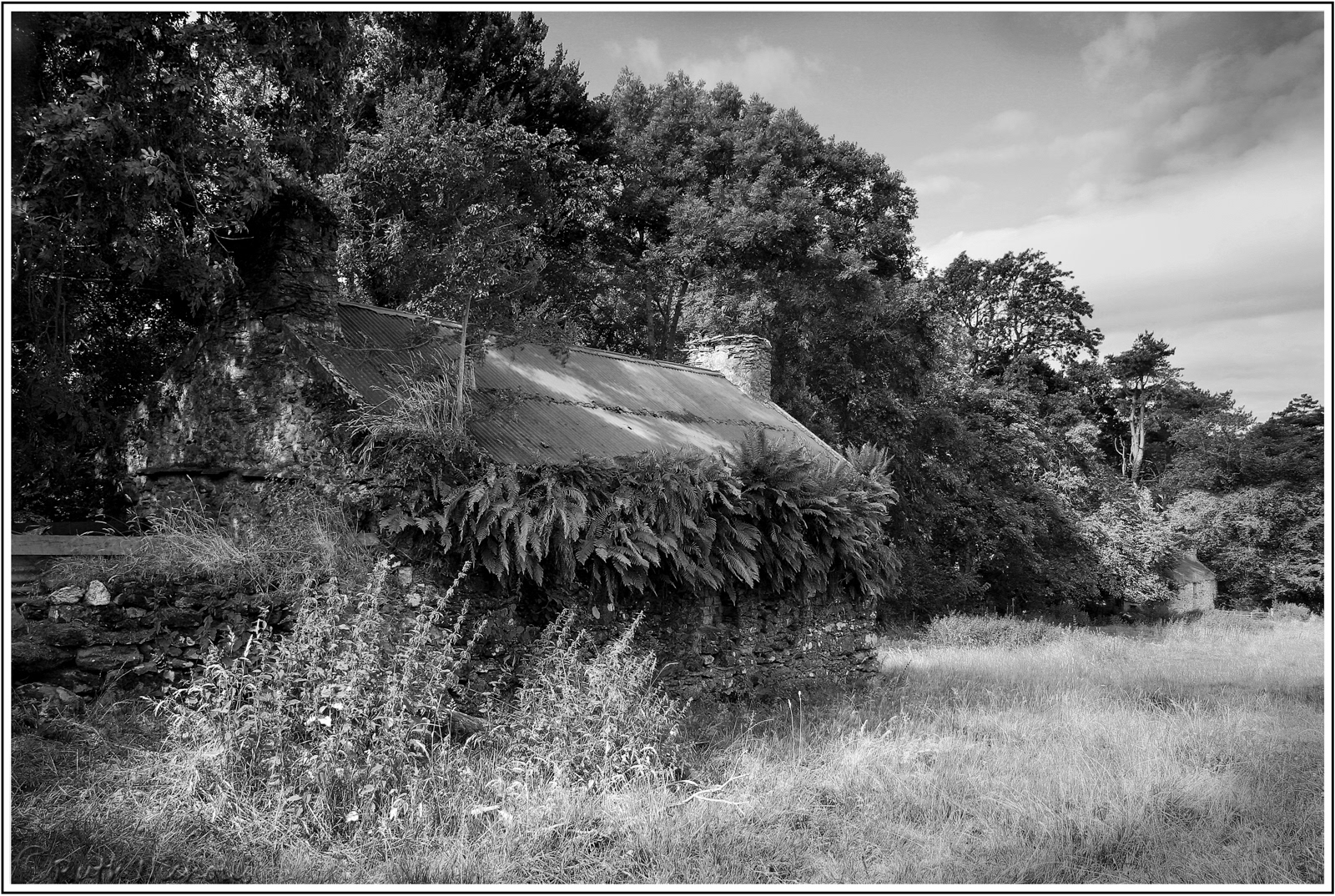 Long Forgotten