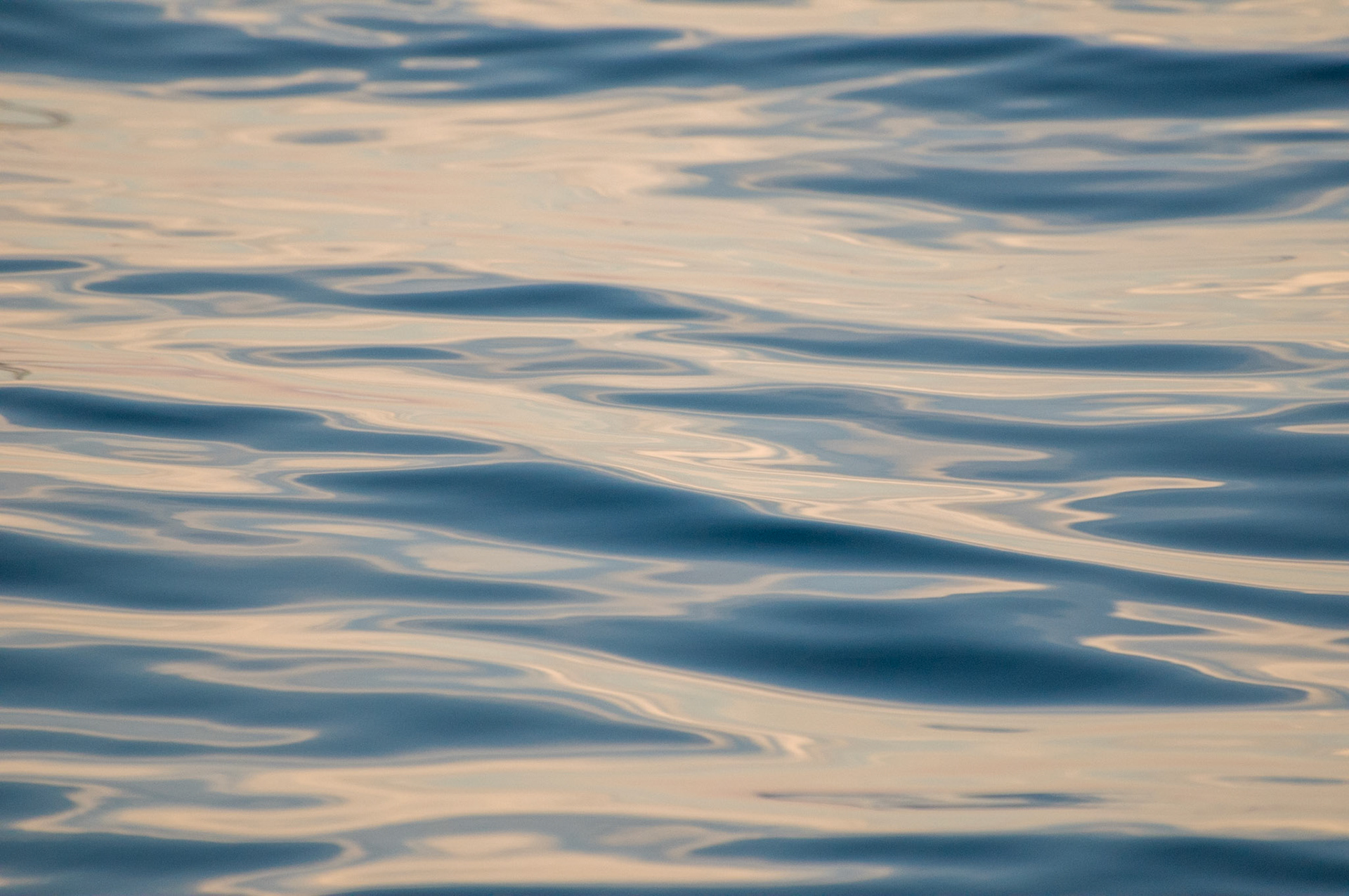 Golden sea surface