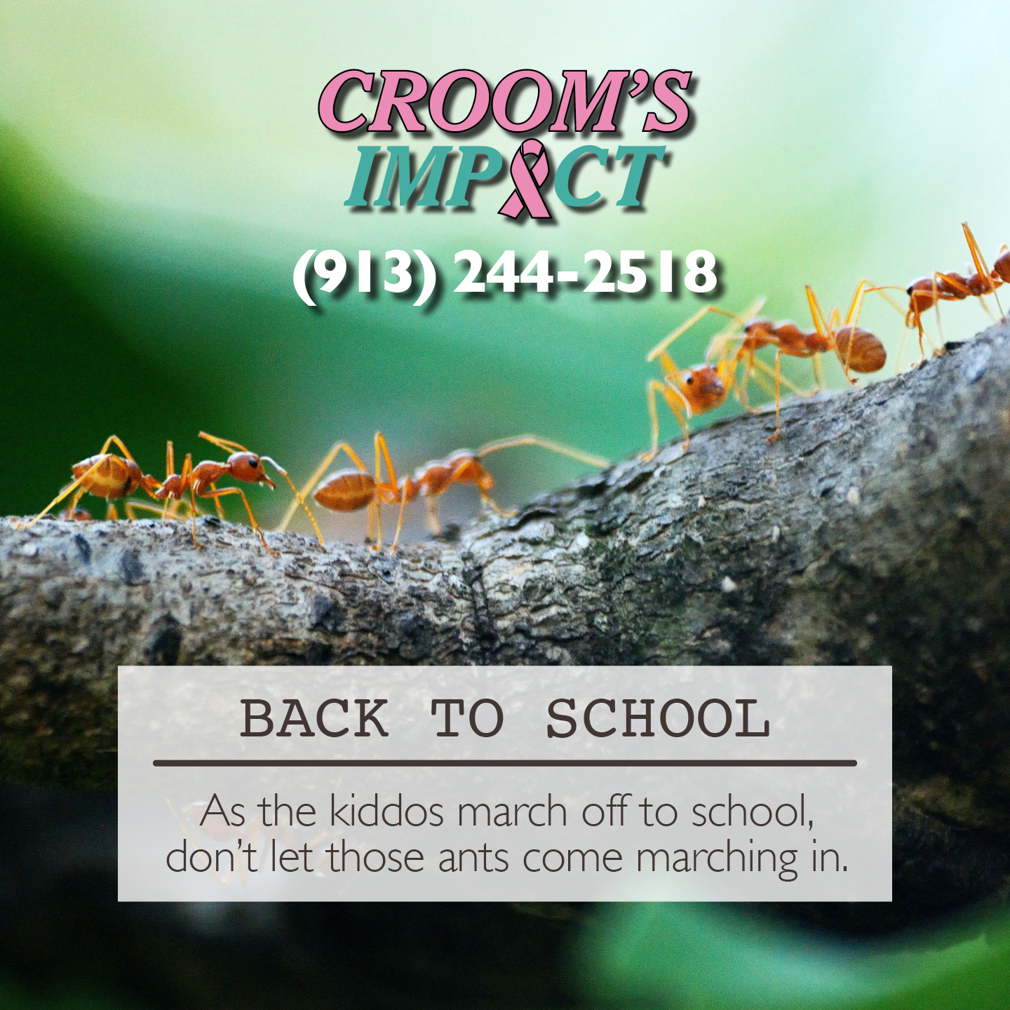 lindsey estes - Croom's Impact Pest & Termite Control LLC