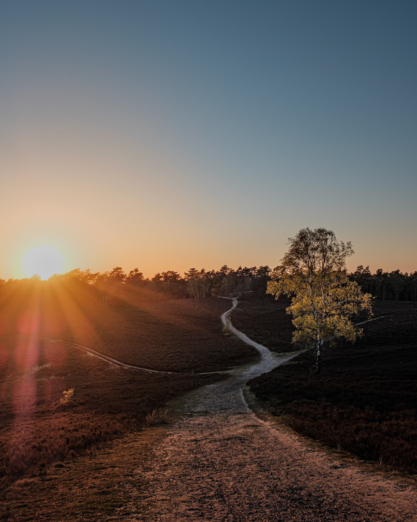 Sonnenuntergang am Brunsberg