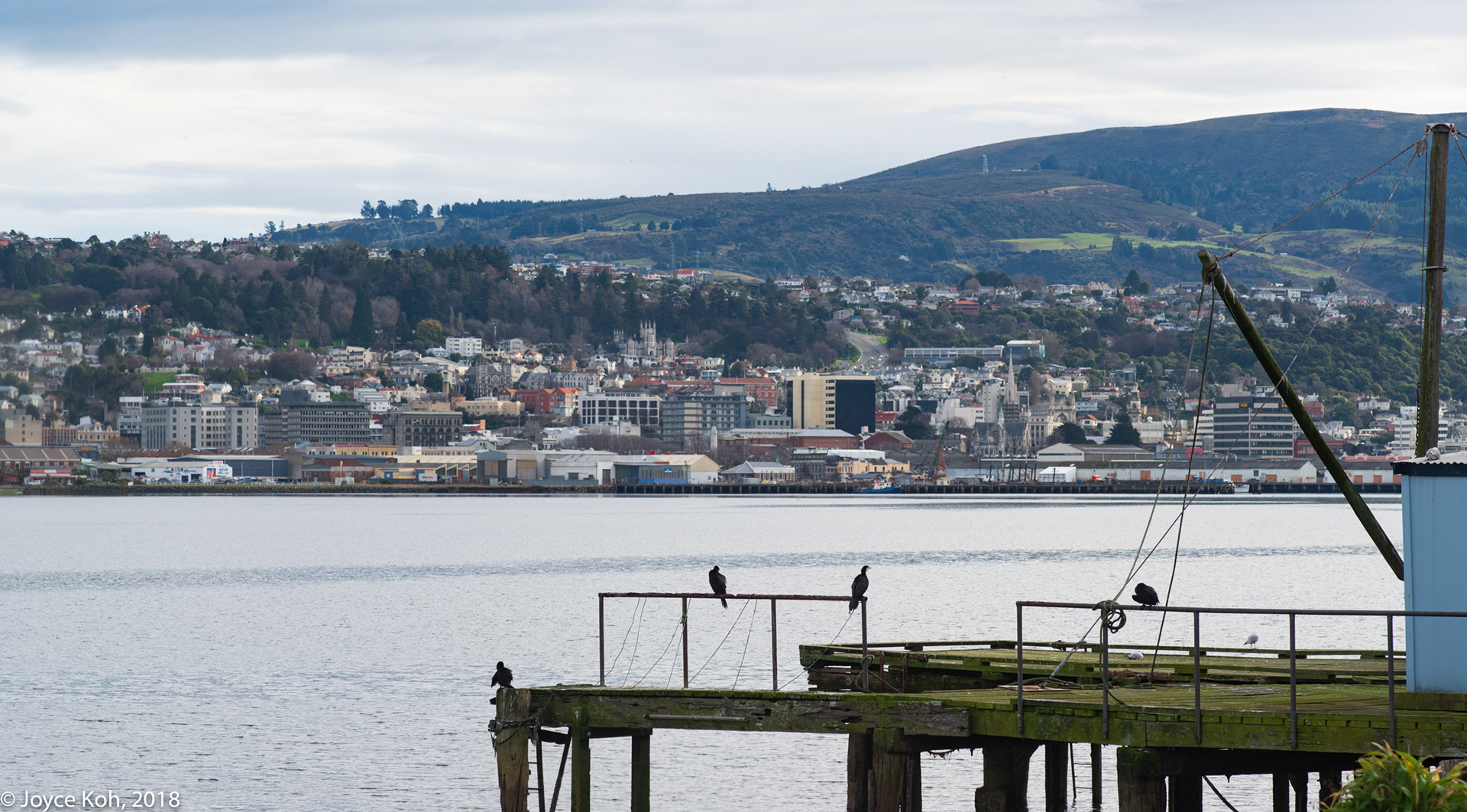 Dunedin New Zealand Photos Anderson's Bay Inlet