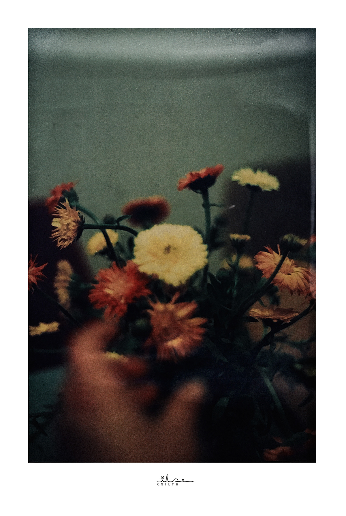 Zella-Blumen-10x15