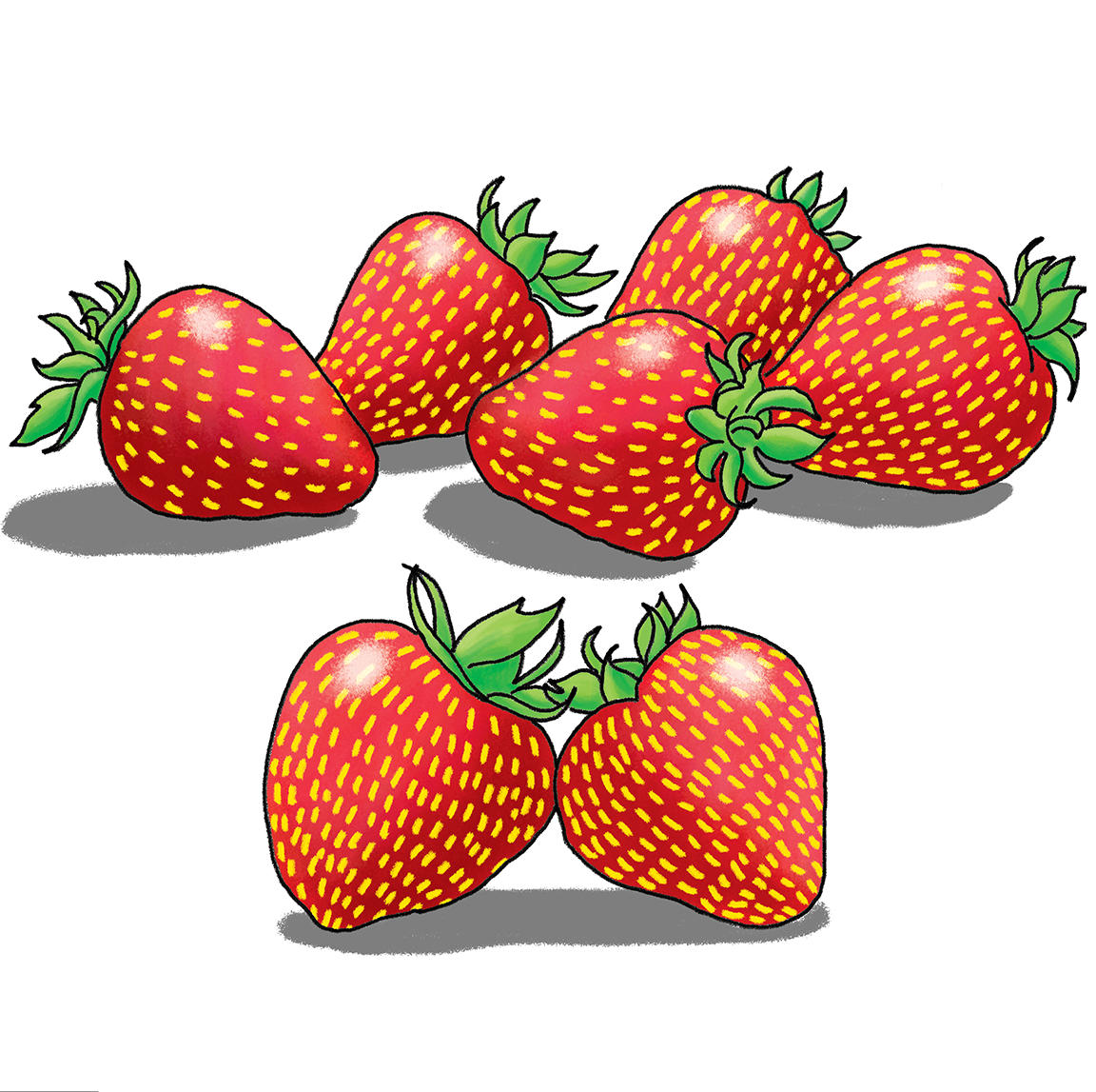 seven - book illustration