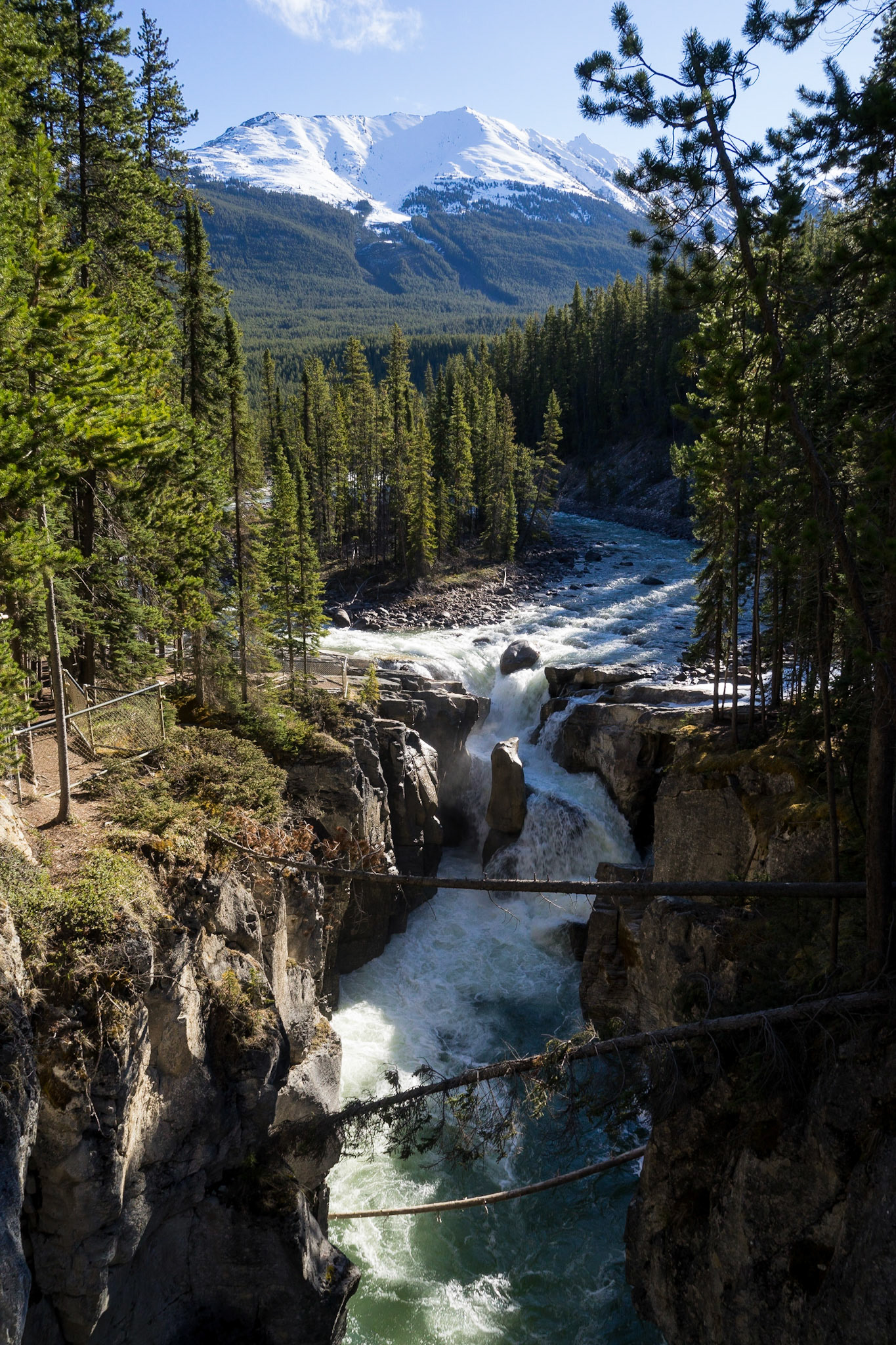 Sunwapta Falls, AB