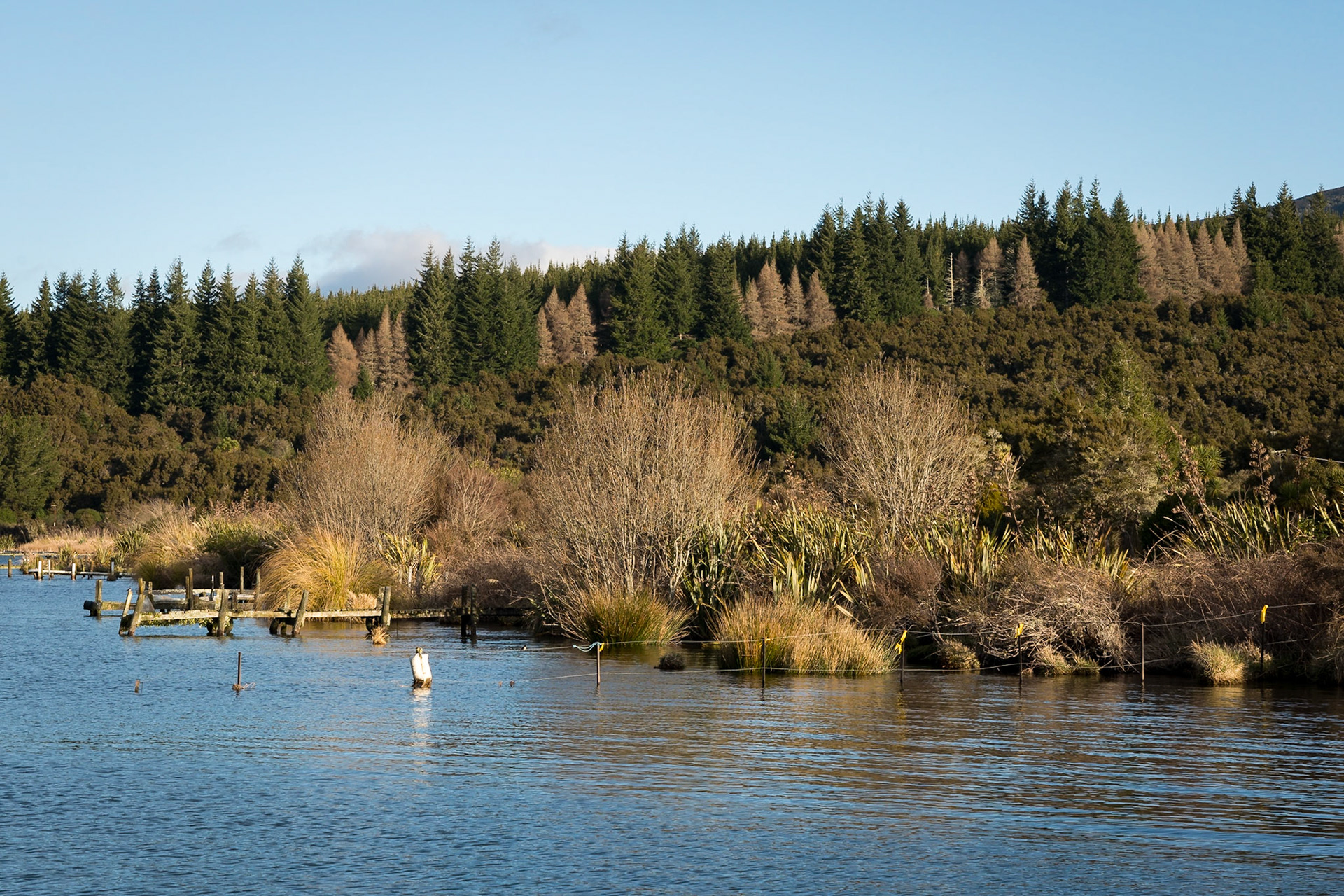Lake Rotoaira