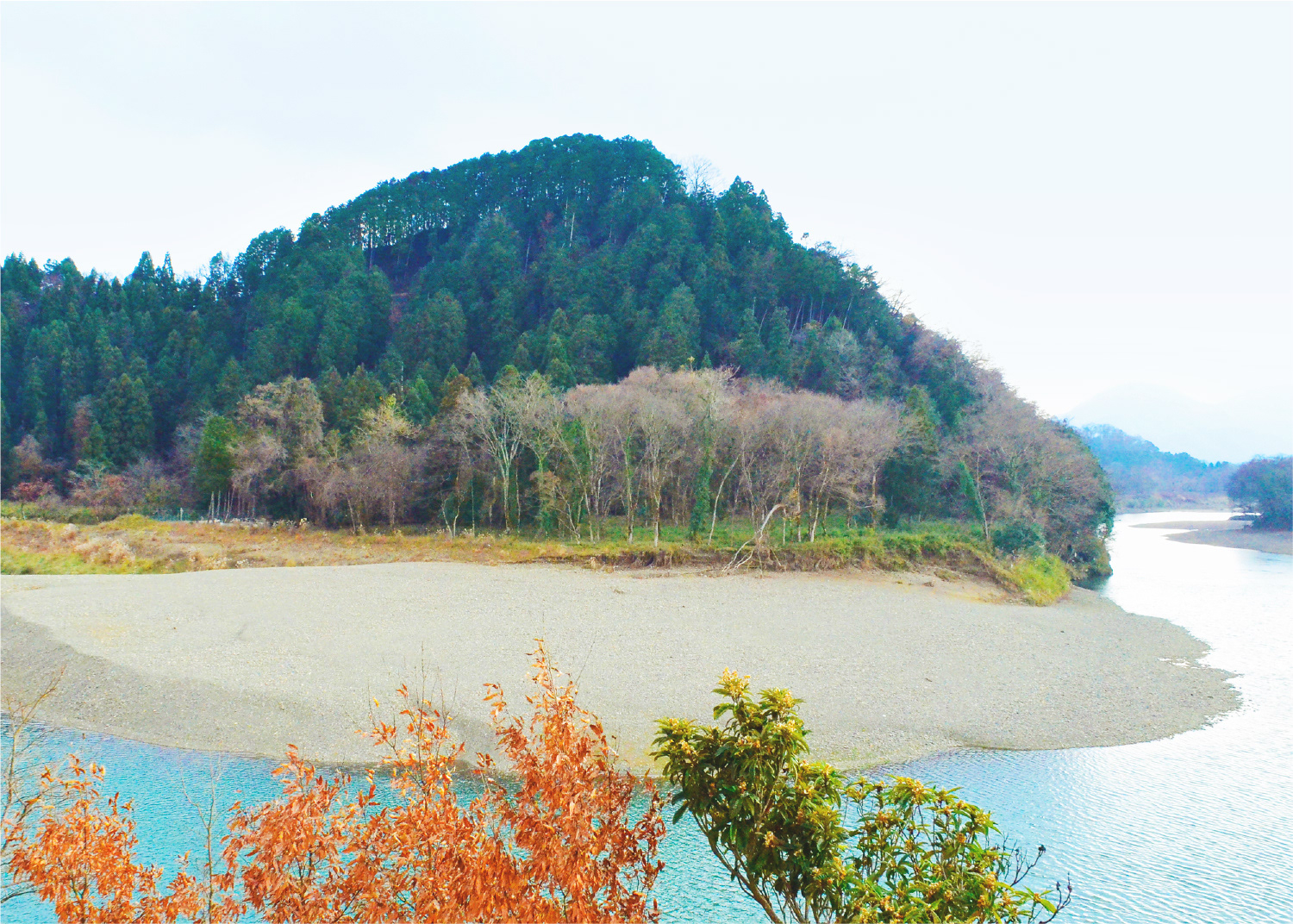 円山川