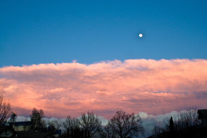 Moon after Morning Storm, Woodland