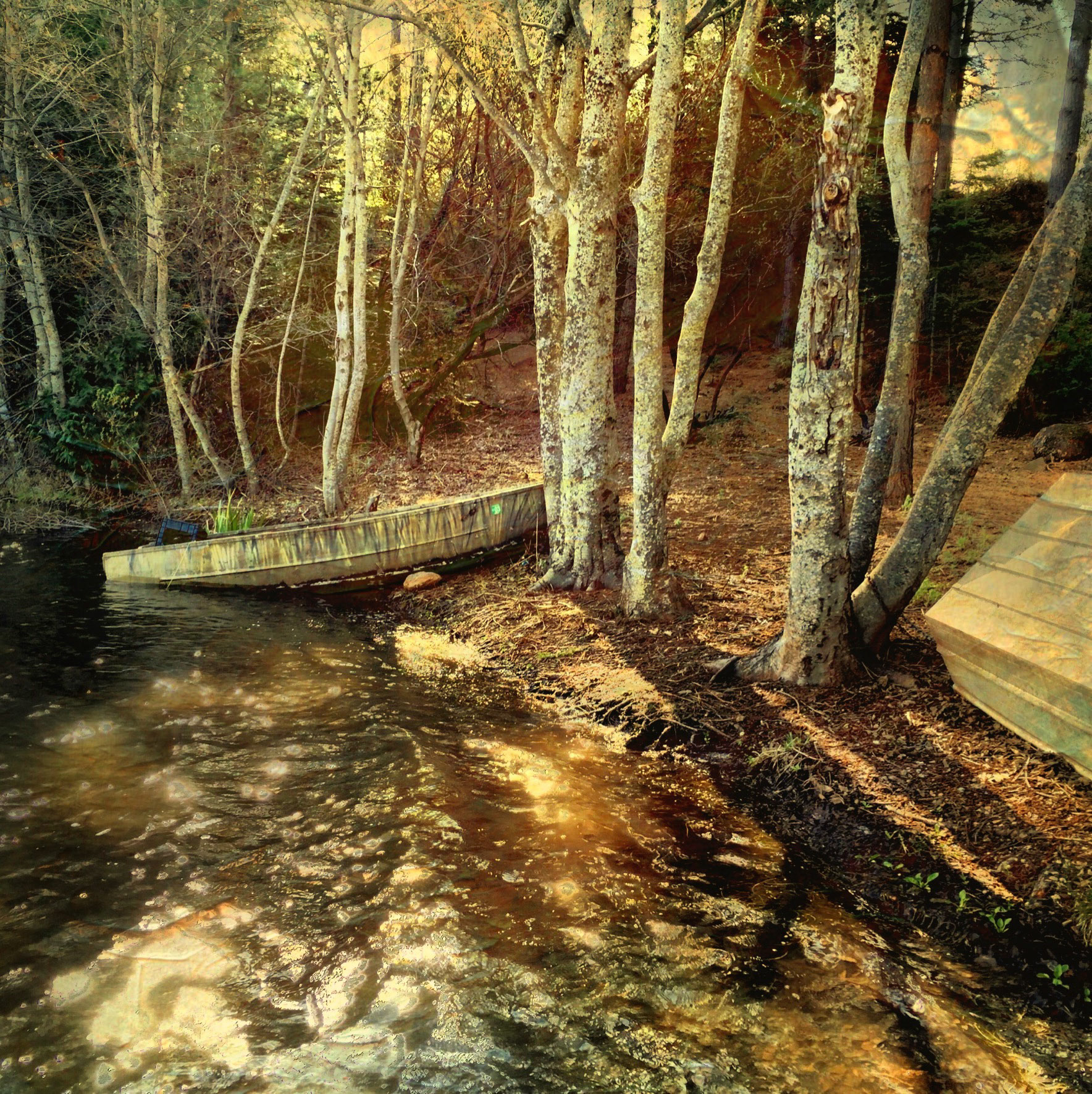 Fall, Woodridge Lake