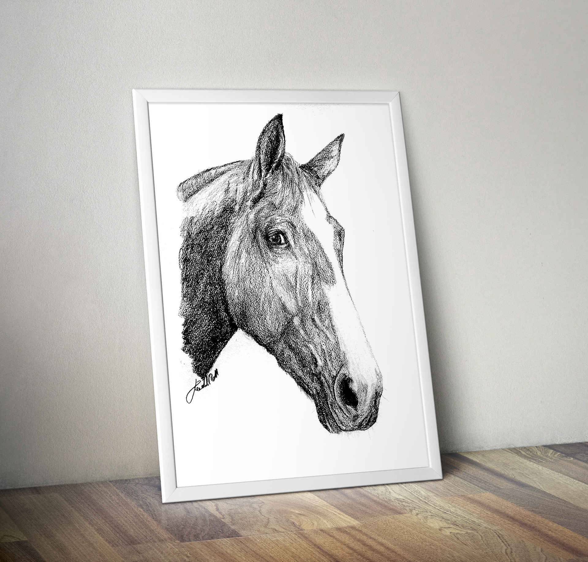 Katharina von Keudell - ANIMAL PORTRAITS - graphit