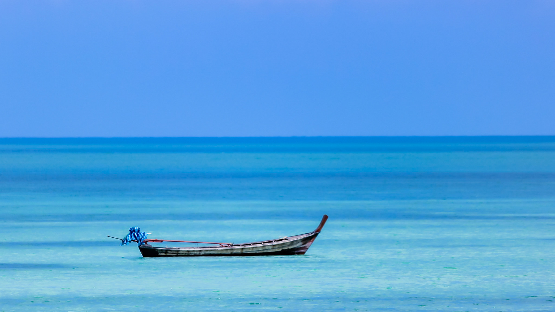 Lonely Longtail