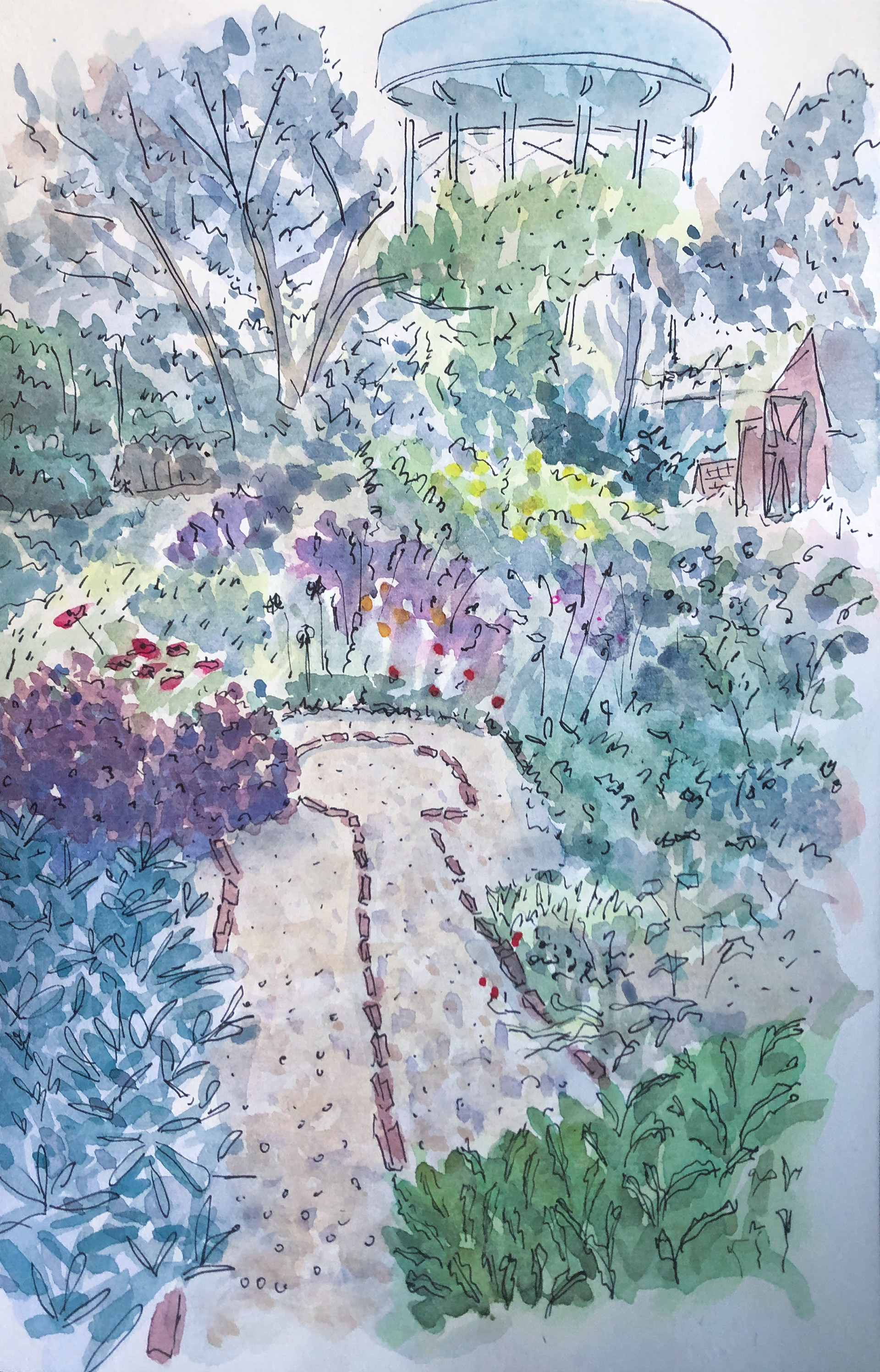Cat's Garden