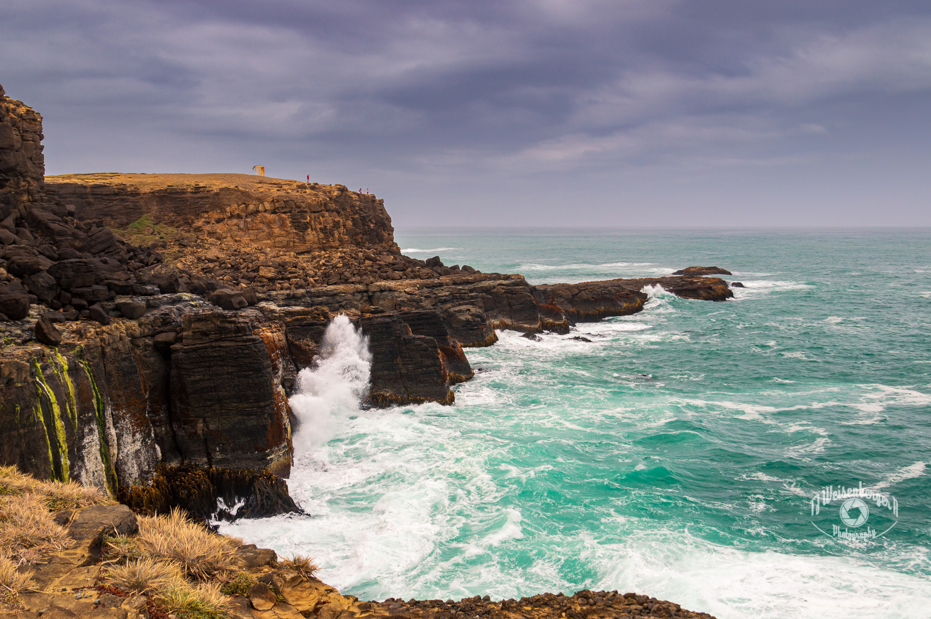 Slope Point the Southernmost Point of South Island - New Zealand; Cliffs; Cloud - Sky; Cloudscape; Cloudy; Environment; Gray sky; Landscape; Landscape - Scenery; New Zealand. Point; Ocean; Pacific; People; Photography; Rocky; Scenics - Nature; Sea; Slope Point; Soutern; South; South Island; Southern Most; Southern Ocean; Summer; Tourism; Travel; Travel Destinations; Waves; nature; outdoors; TJ; Weisenberger