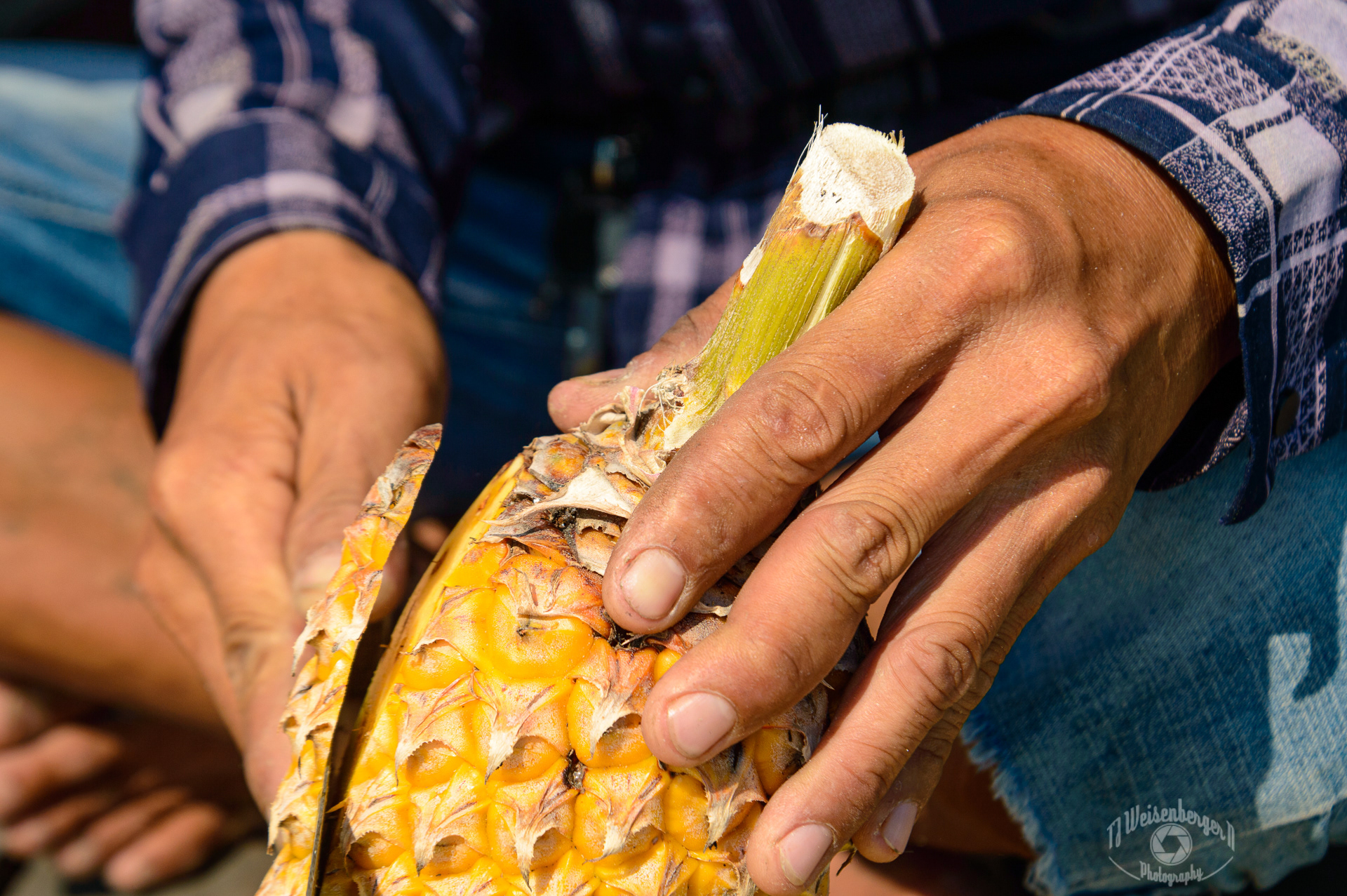 Hands Cai Rang Floating Market Vendor Peels Pineapple - Can Tho, Vietnam; Asia; Body Part; Cai Rang; Can Tho; Culture; Floating Market; Flowers & Plants; People; Photography; Planet Earth; Southeast Asia; Spring; Summer; Sunny; Tourism; Travel; Travel Destinations; Vietnam; Working Hands; close-up; fingers; fruit; hand; hands; market; no face; outdoors; peeling; pineapple; vendor; vietnamese; working; TJ; Weisenberger