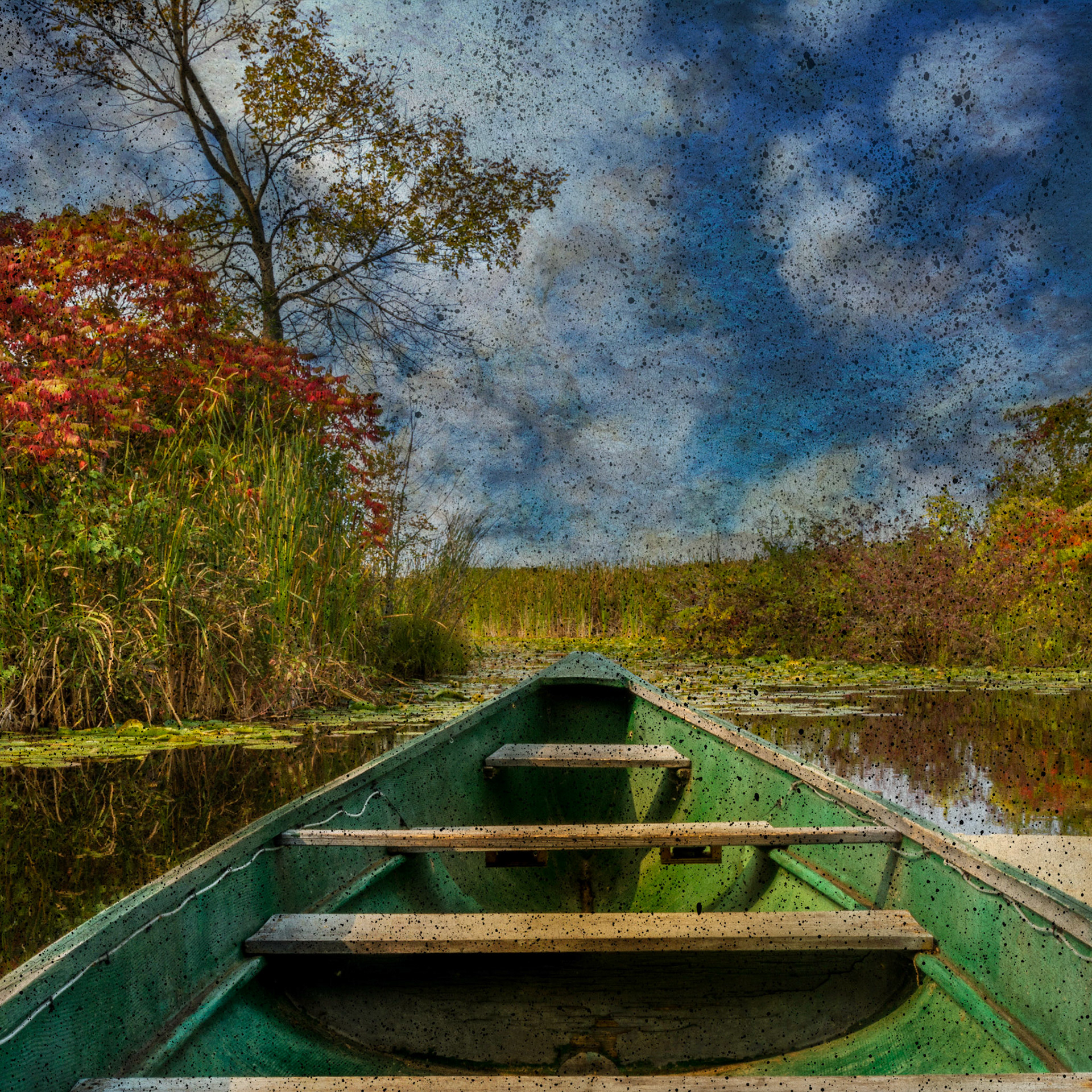 Wye Marsh © Irwin Seidman