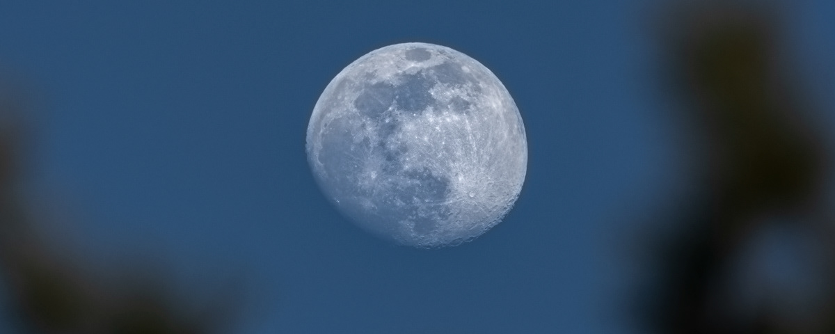 Almost full moon © Irwin Seidman