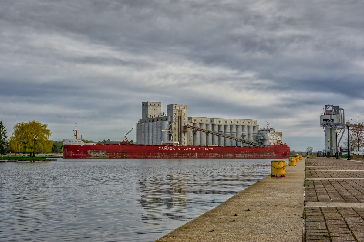 Canada Steamship Lines © Irwin Seidman