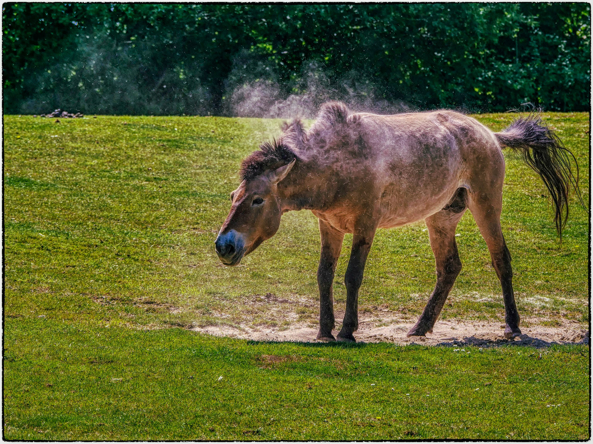 Gaia Zoo Kerkrade