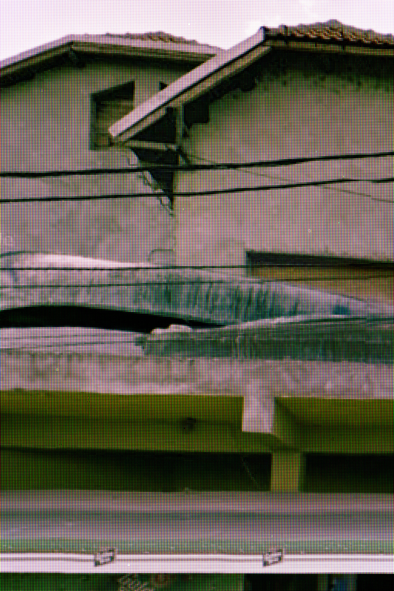 D55