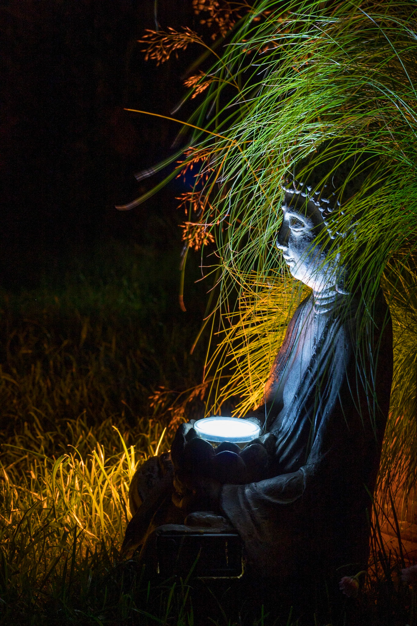 Buddha