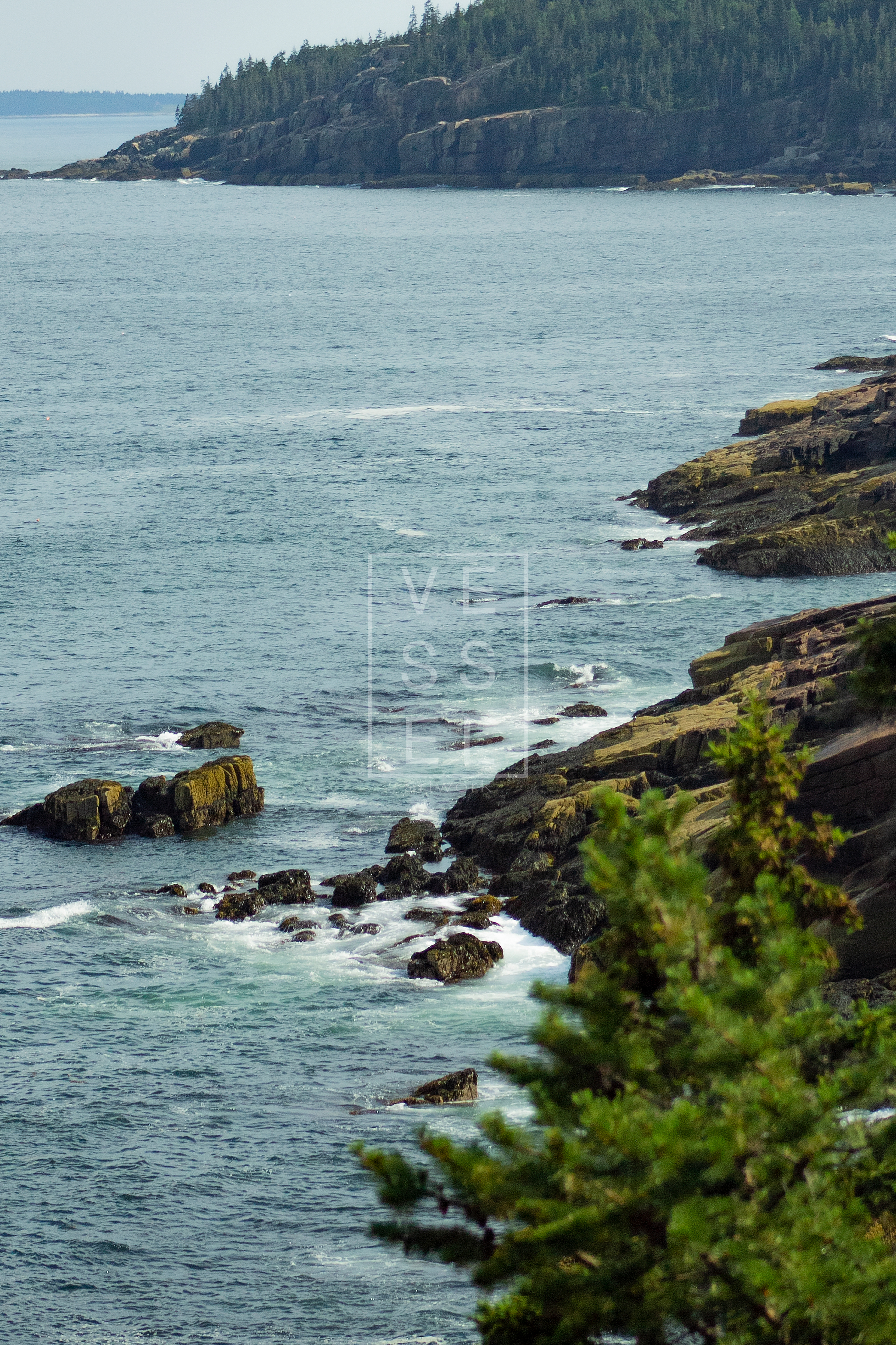 Acadia National Park 2019*