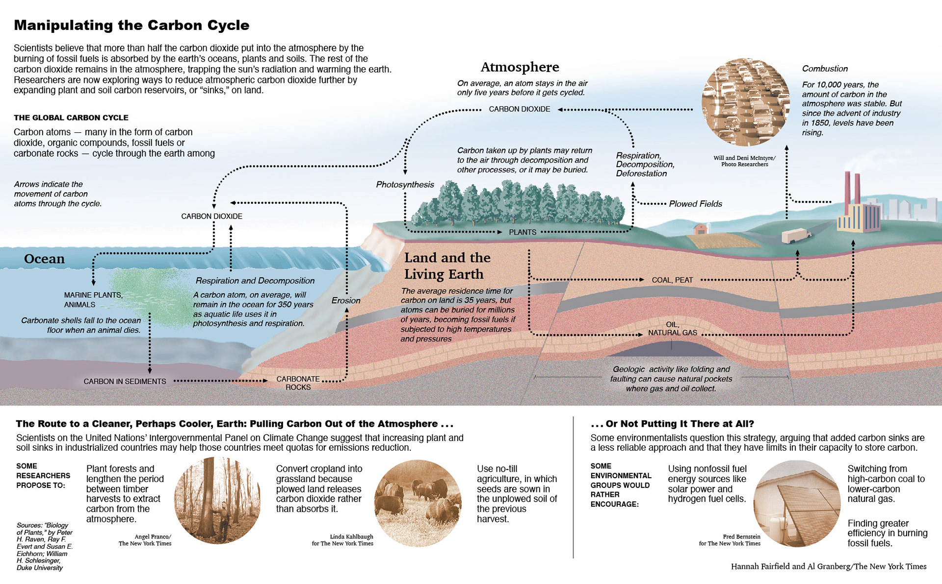 Illustration showing movement of carbon dioxide through the environment. For The New York Times.
