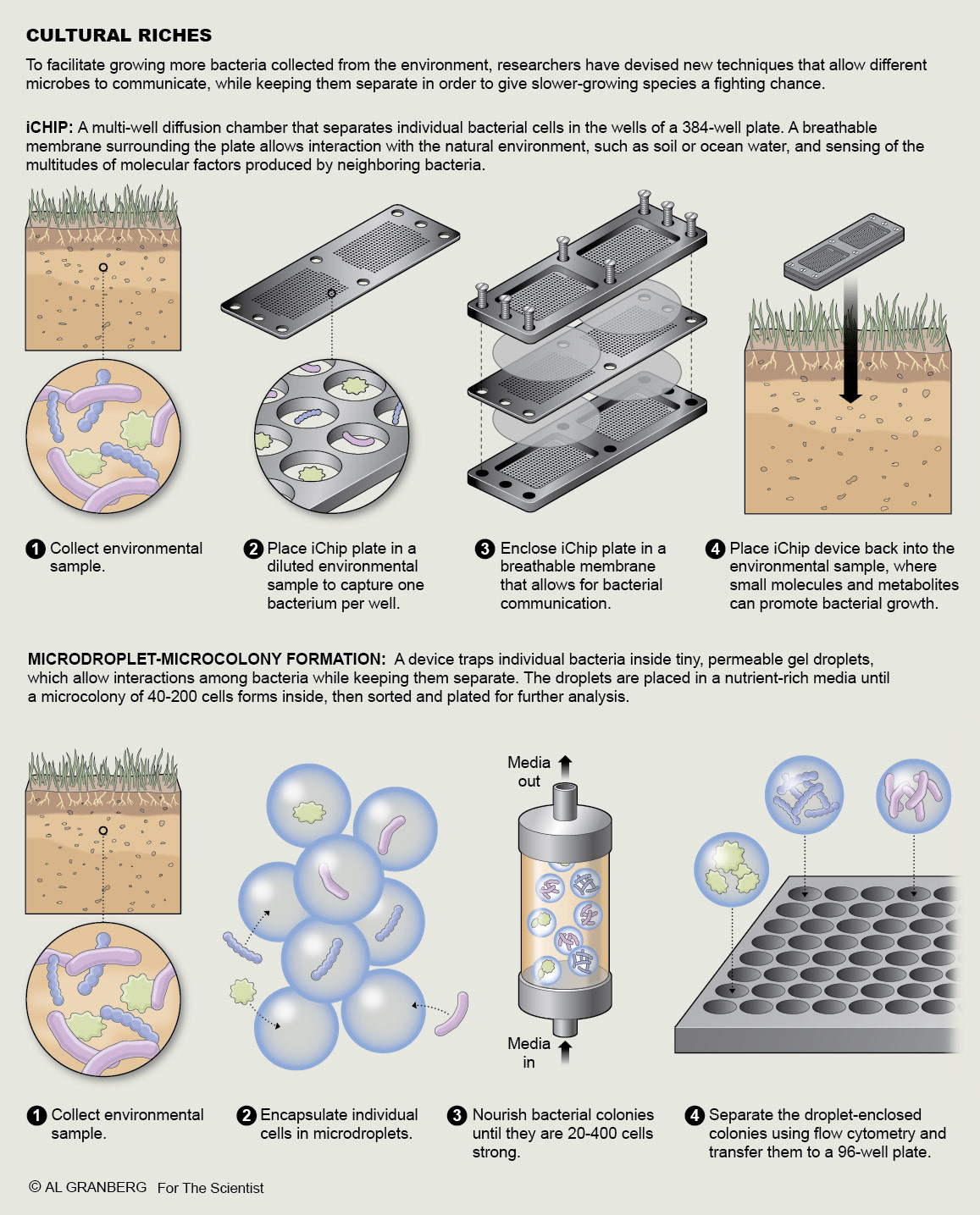 Diagram of devices and techniques used to collect bacteria from soil. For The Scientist.