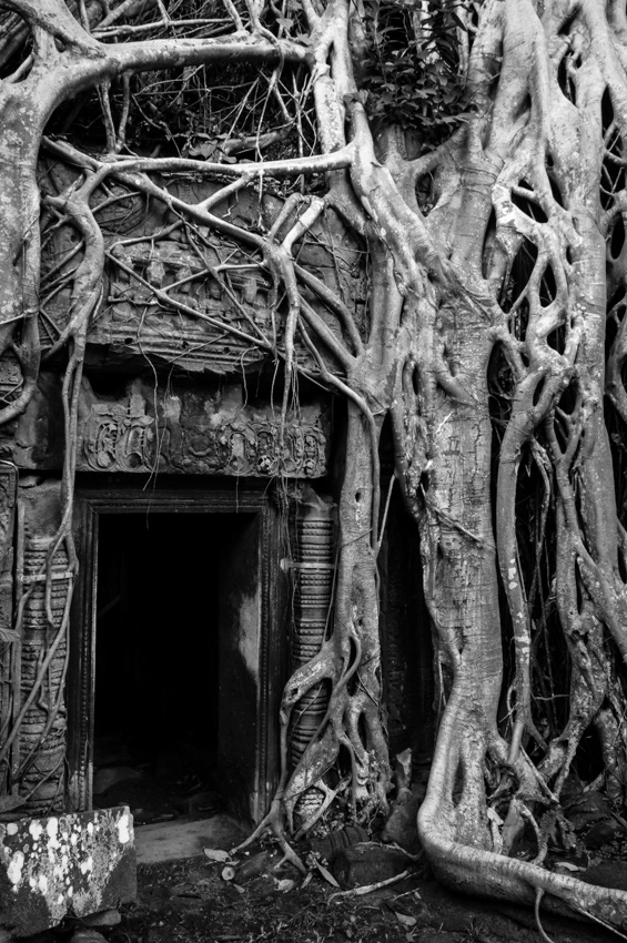 Ta Prohm