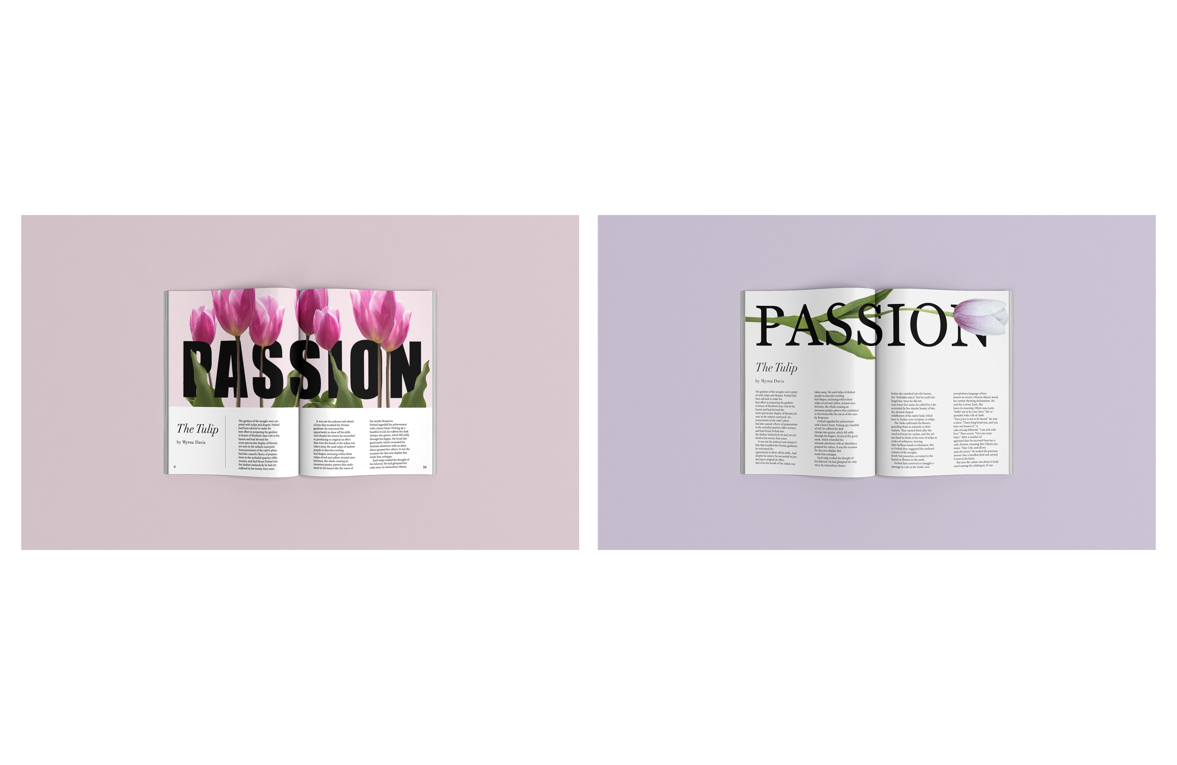 Magazine Spread Designs of "Passion: The Tulip", by Myrna Davis