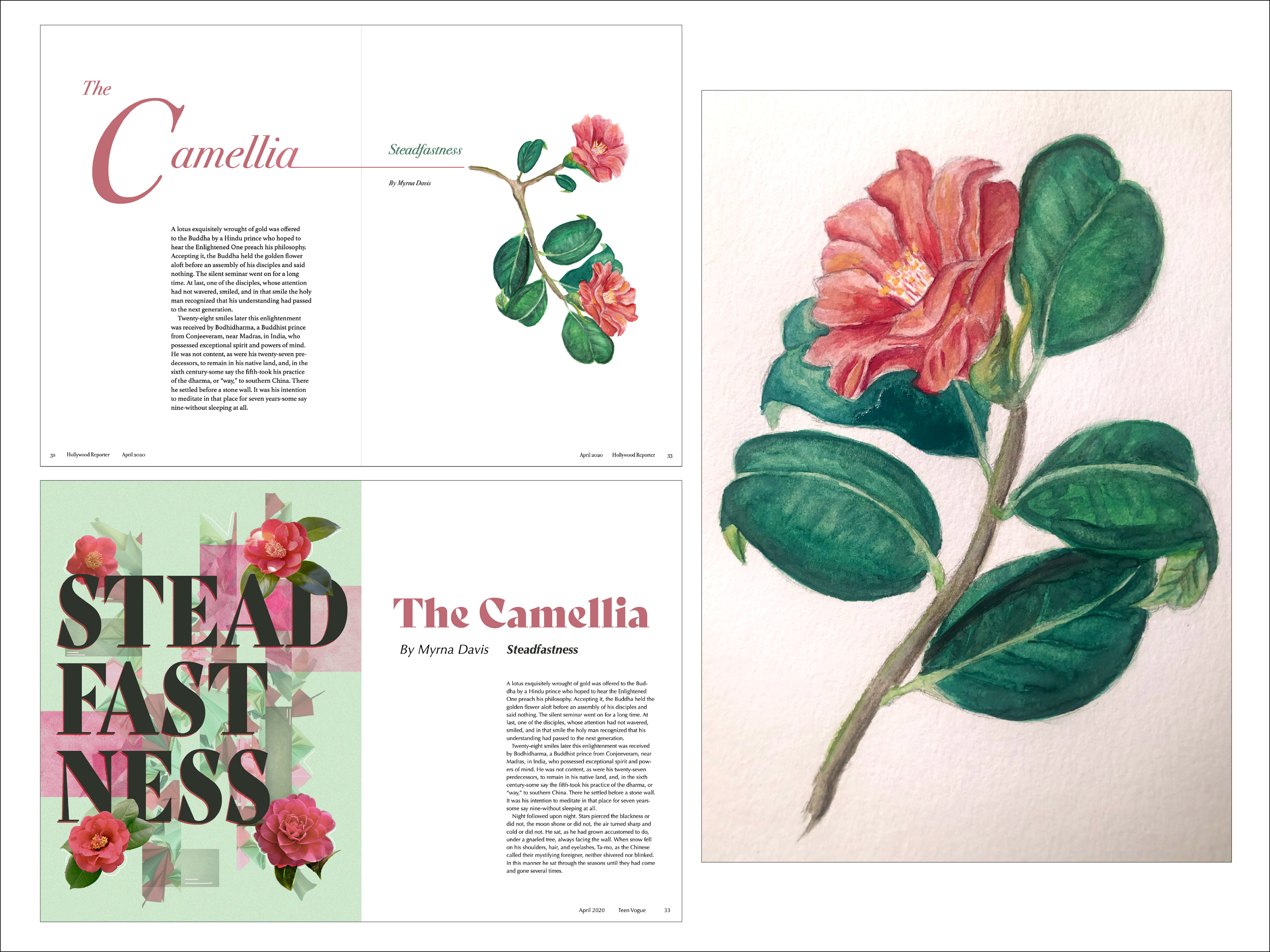Magazine spreads and illustration for "Steadfastness: The Camelia" by Myrna Davis.