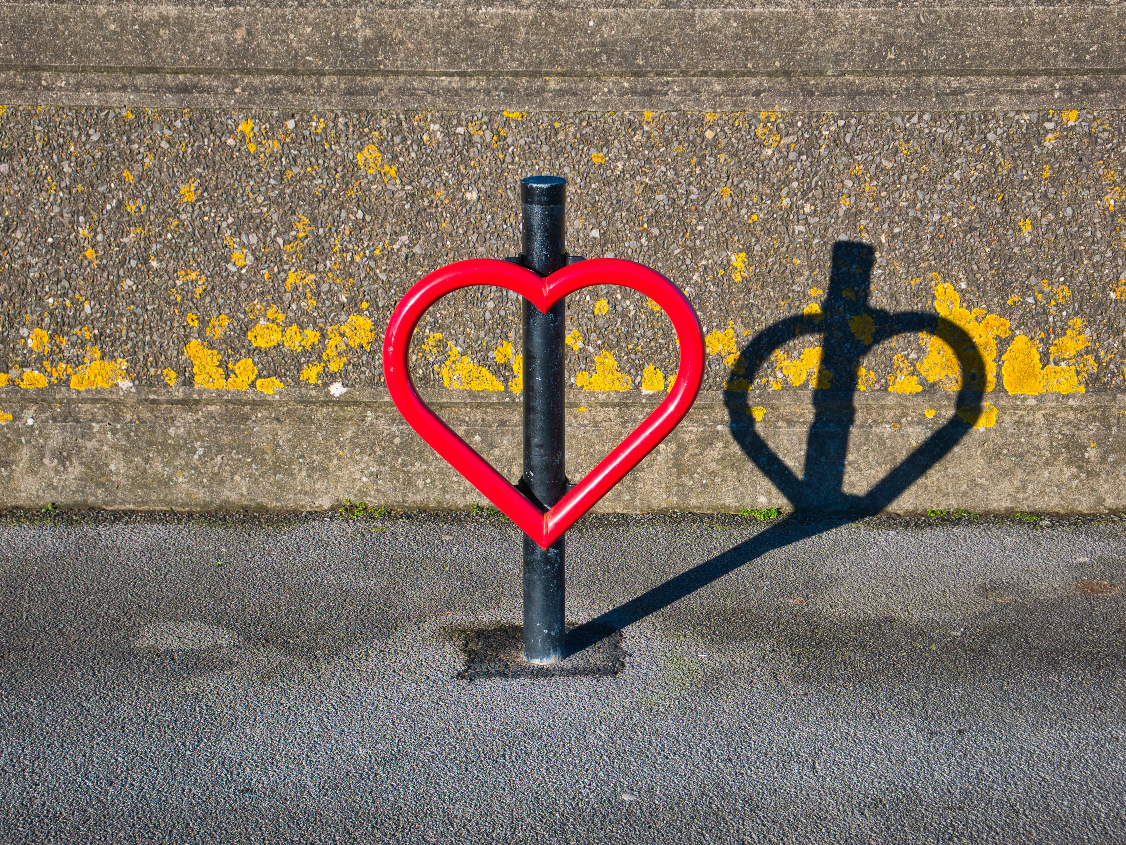 Heart