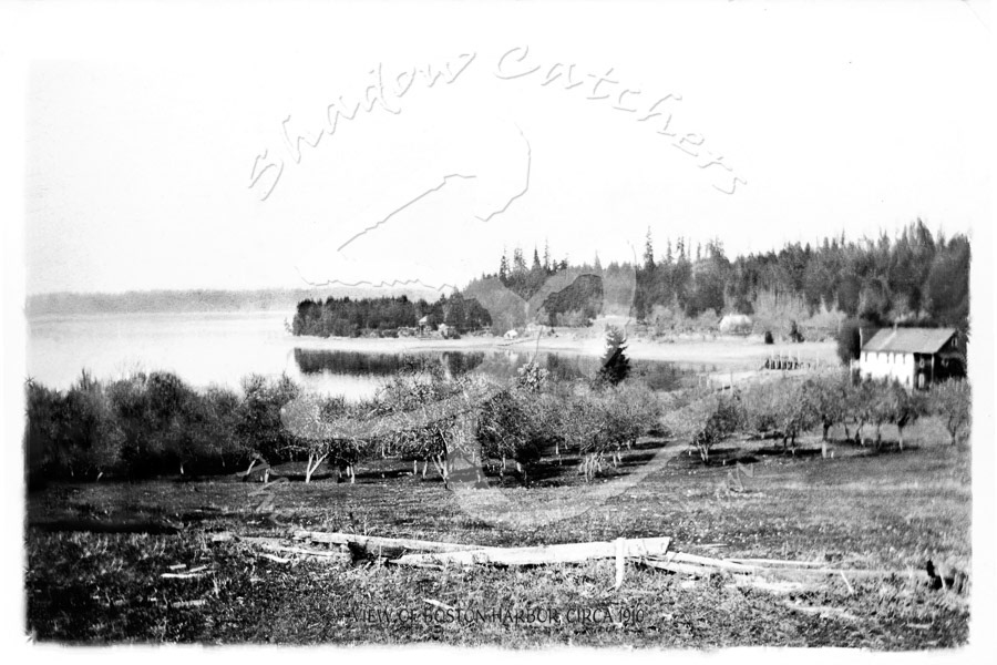 T038 VIEW NORTH, BOSTON HARBOR, UNDATED