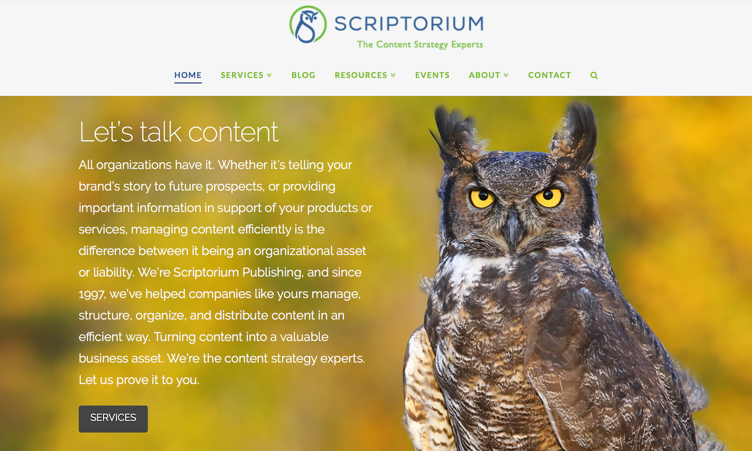 Scriptorium Publishing came to us to refresh their website and breathe life into a 20-year old brand as a way to compete in a competitive market. scriptorium.com Branding/Logo/Tagline/Copywriting/Website/Narration
