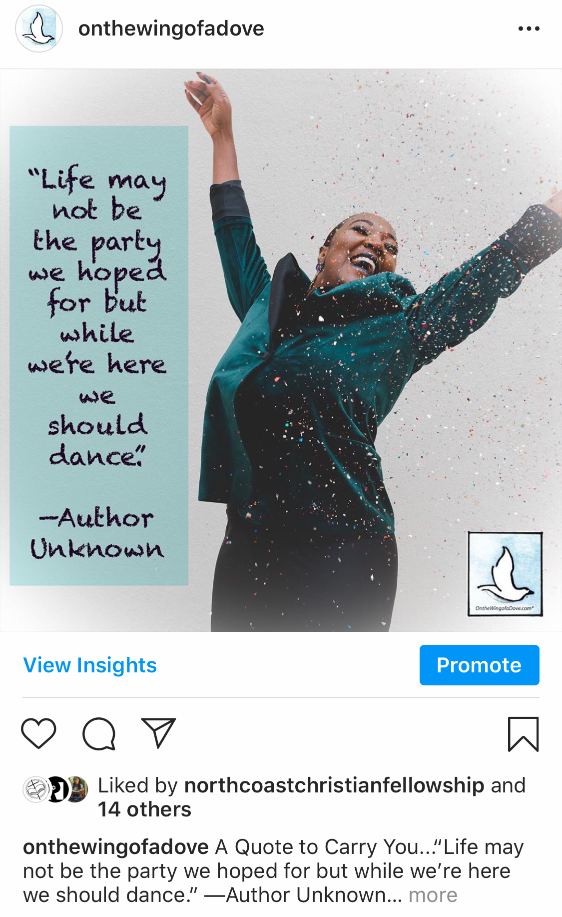 On the Wing of a Dove (Instagram)