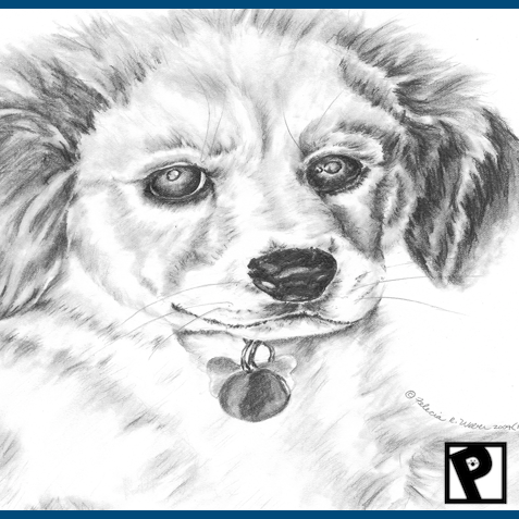 Pet Portraiture (Graphite Pencil)