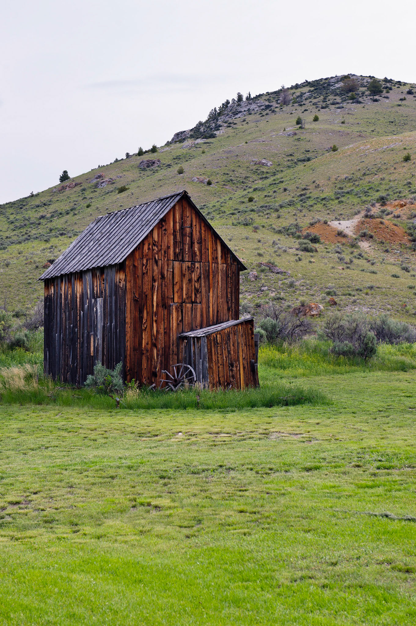Barn - Bannack, Montana